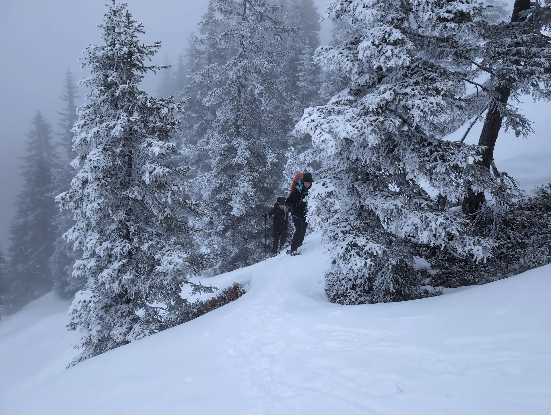 SSW-WoE Bochumer Hütte_2. Tag | © SSW-WoE Bochumer Hütte_2. Tag_Aufstieg über Steilstufe