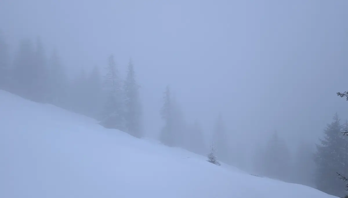 SSW-WoE Bochumer Hütte_2. Tag | © SSW-WoE Bochumer Hütte_2. Tag_Wo ist Rauber