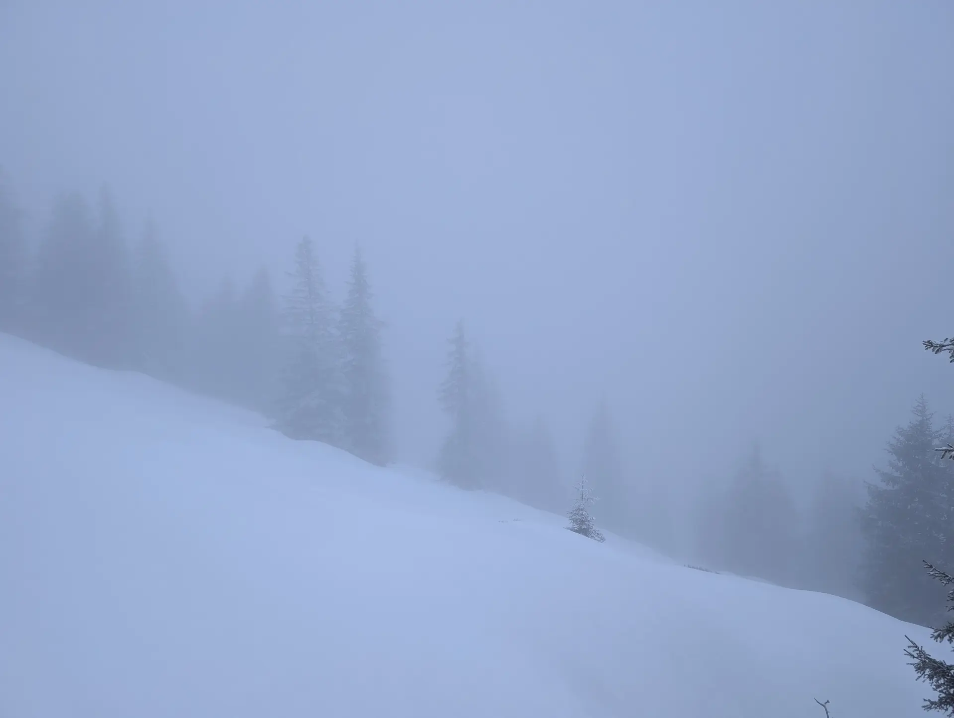 SSW-WoE Bochumer Hütte_2. Tag | © SSW-WoE Bochumer Hütte_2. Tag_Wo ist Rauber