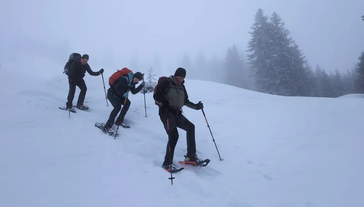 SSW-WoE Bochumer Hütte_2. Tag | © SSW-WoE Bochumer Hütte_2. Tag_Abstieg zur Forststraße