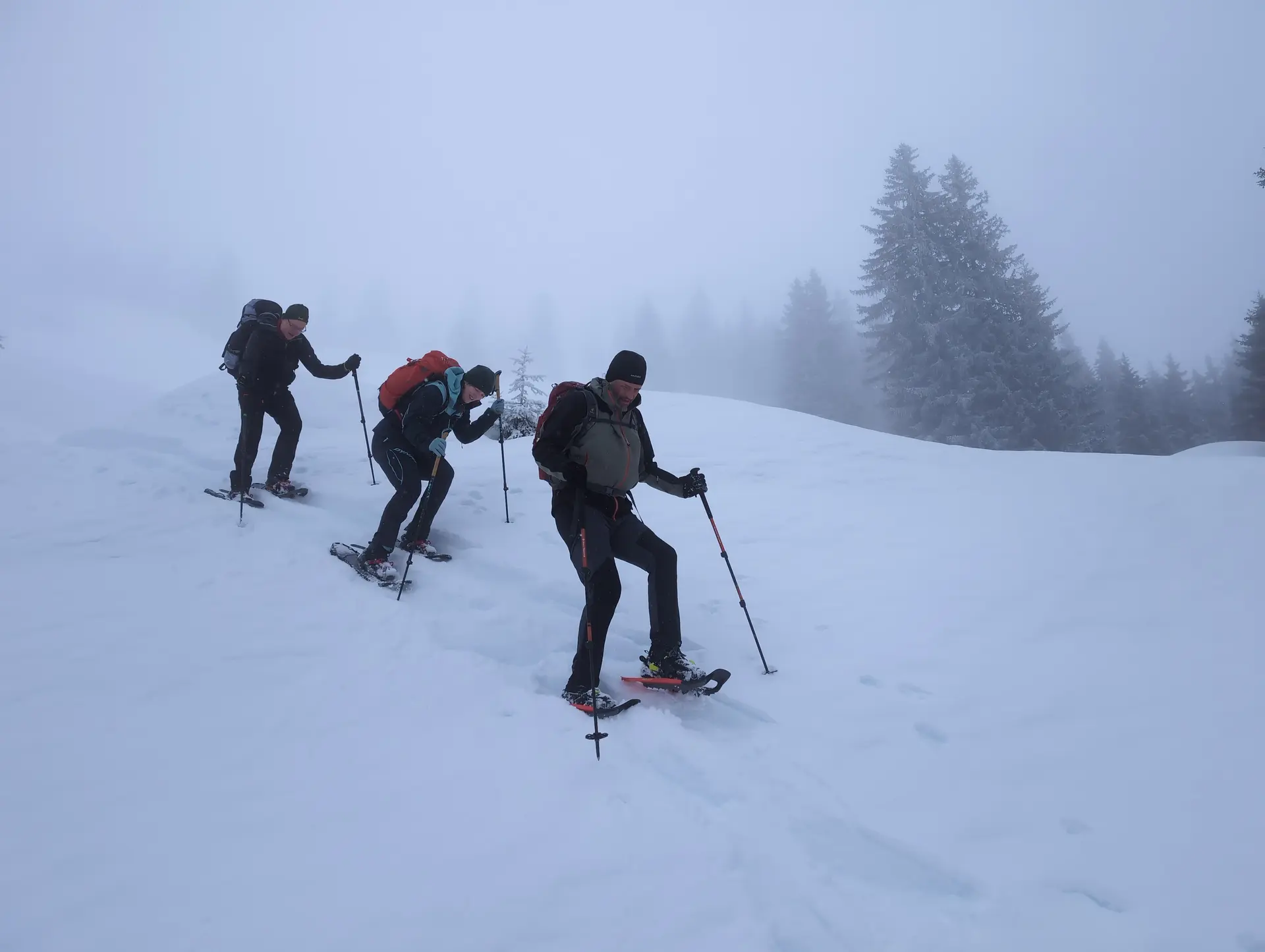 SSW-WoE Bochumer Hütte_2. Tag | © SSW-WoE Bochumer Hütte_2. Tag_Abstieg zur Forststraße