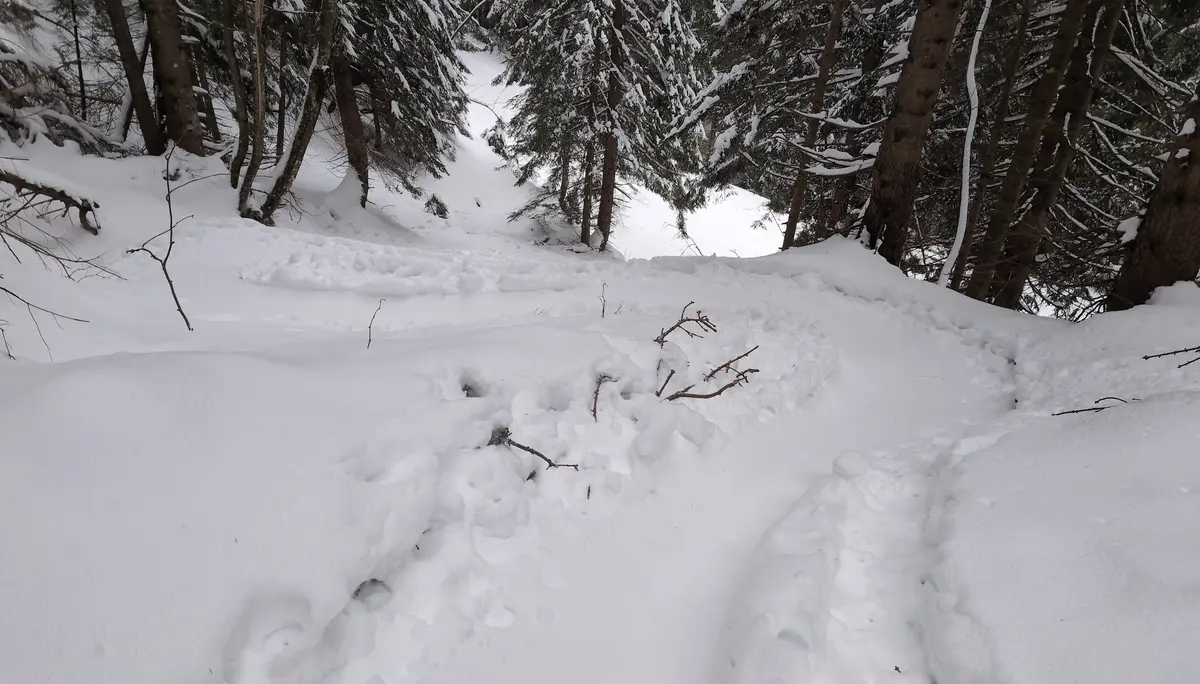 SSW Trattberg | © DAV Gangkofen/Martin Götz_SSW Trattberg_Aufstieg_auf dem Skitourenpfad