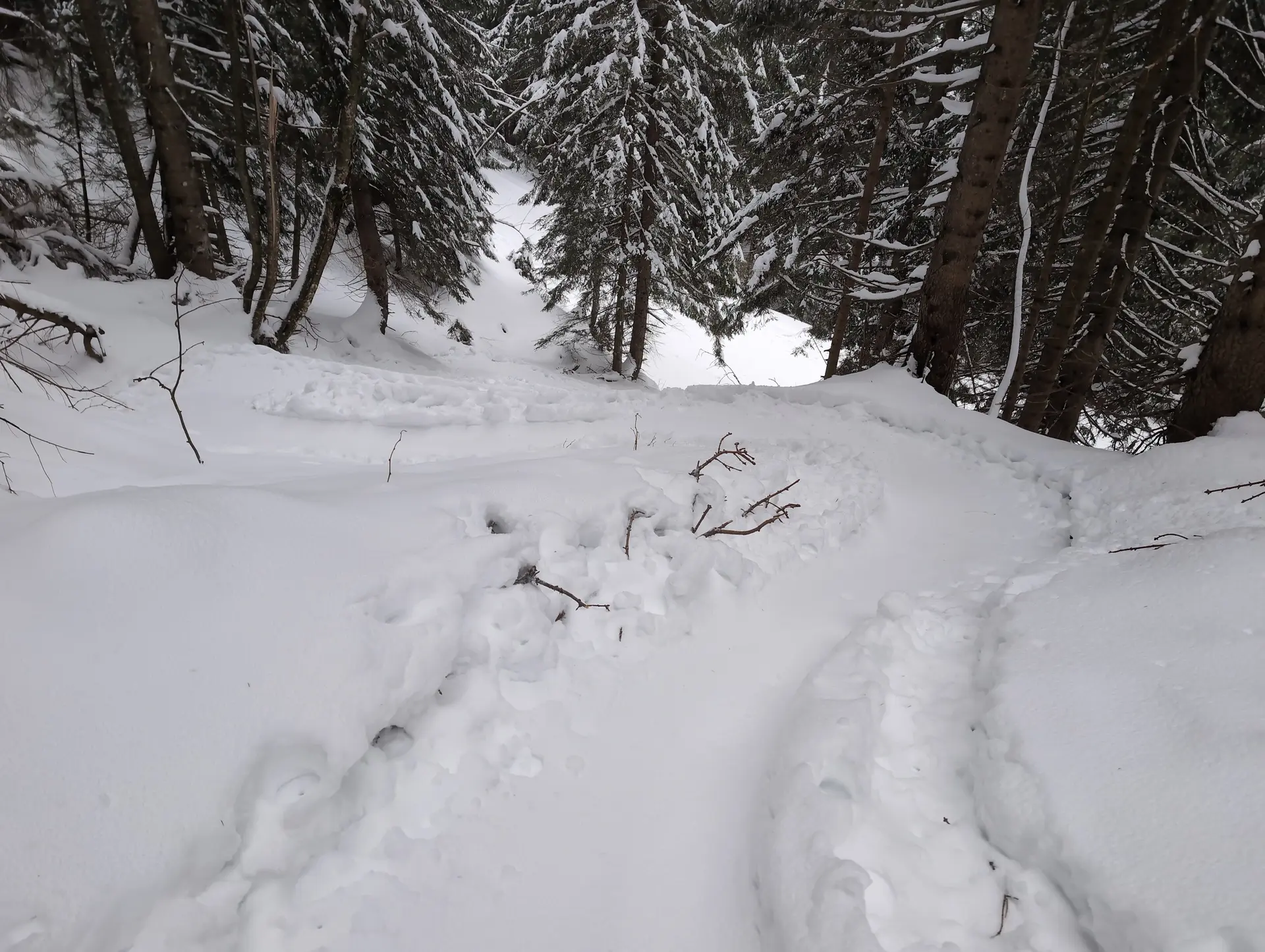 SSW Trattberg | © DAV Gangkofen/Martin Götz_SSW Trattberg_Aufstieg_auf dem Skitourenpfad