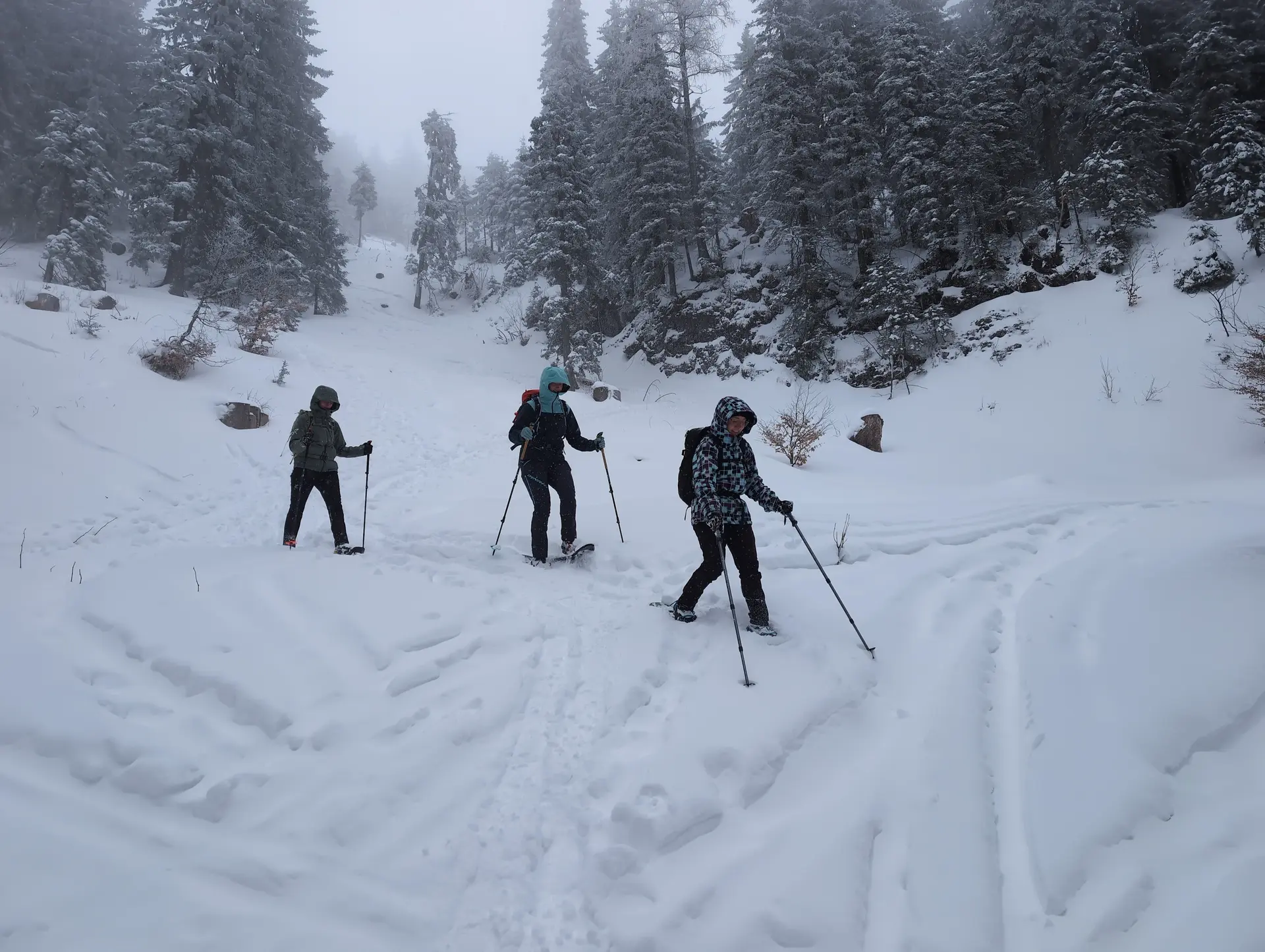 SSW Trattberg | © DAV Gangkofen/Martin Götz_SSW Trattberg_Abstieg über Skitourenpfad_im Pulverschnee