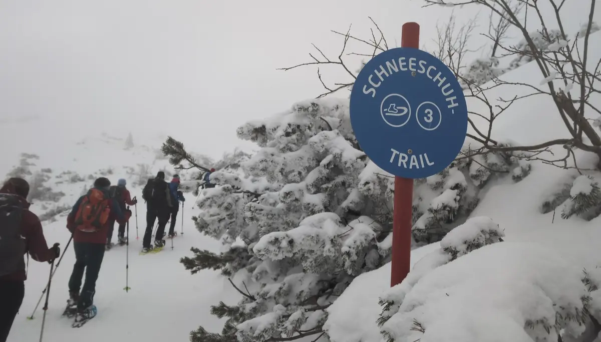 SSW Stahlhaus Vollmondtour | © DAV Gangkofen/Martin Götz_SSW Stahlhaus Vollmondtour_Abzweig zur markierten Tour zum Pfaffenkegel