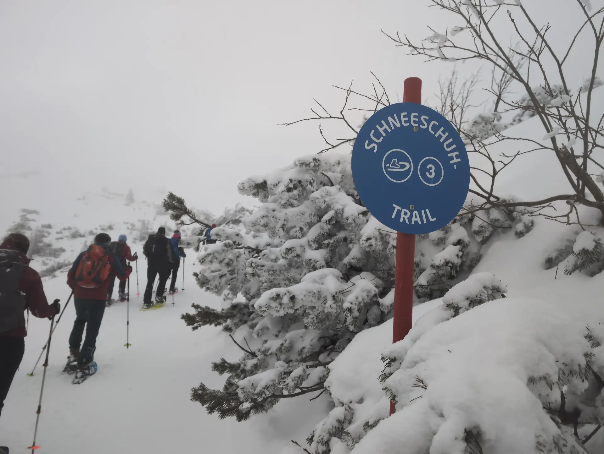 SSW Stahlhaus Vollmondtour | © DAV Gangkofen/Martin Götz_SSW Stahlhaus Vollmondtour_Abzweig zur markierten Tour zum Pfaffenkegel