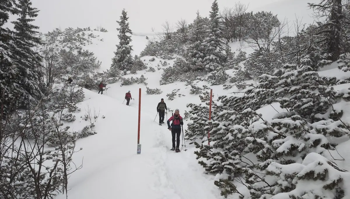 SSW Stahlhaus Vollmondtour | © DAV Gangkofen/Martin Götz_SSW Stahlhaus Vollmondtour_Übergang zum Stahlhaus