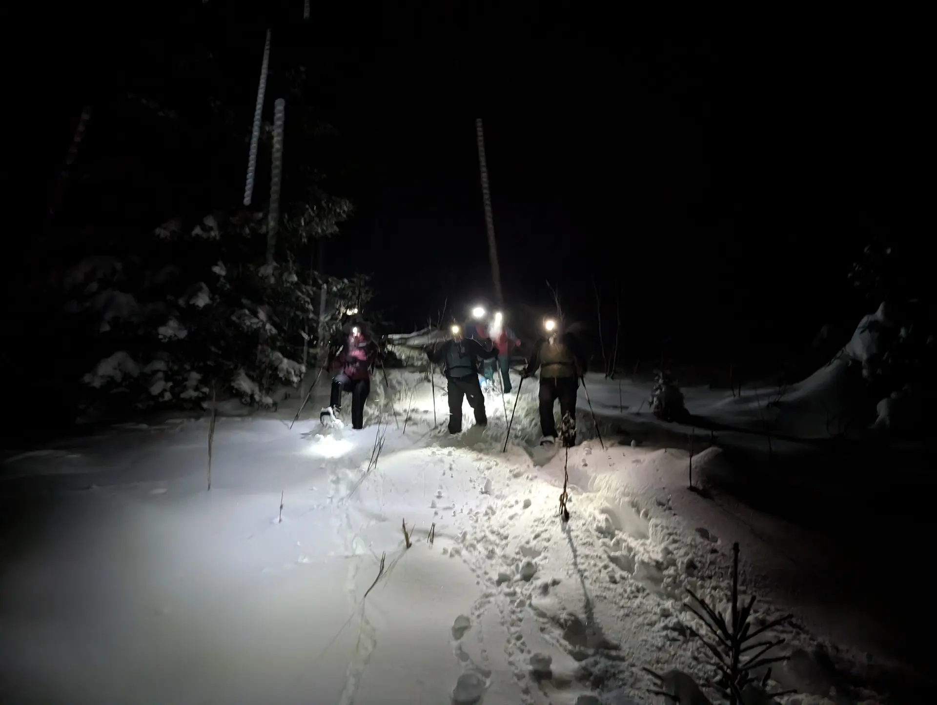 SSW Stahlhaus Vollmondtour | © DAV Gangkofen/Martin Götz_SSW Stahlhaus Vollmondtour_Abstieg_in Falllinie die ehemalige Skipiste hinab