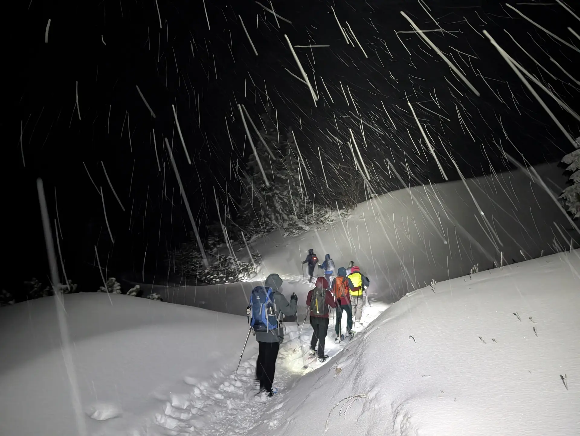 SSW Stahlhaus Vollmondtour | © DAV Gangkofen/Karin Witzelsperger_SSW Stahlhaus Vollmondtour_Rückweg im Neuschnee