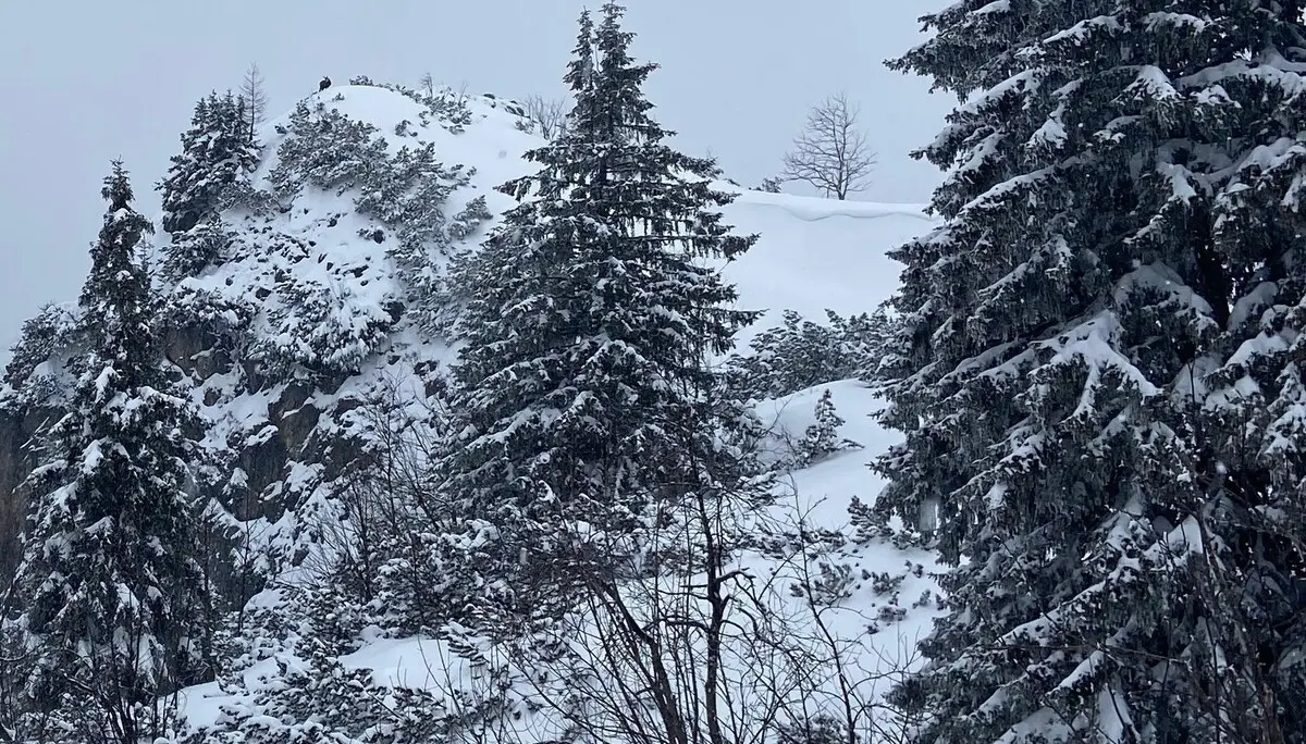 SSW Stahlhaus Vollmondtour | © DAV Gangkofen/Stefanie Hageneder_SSW Stahlhaus Vollmondtour_Wechte