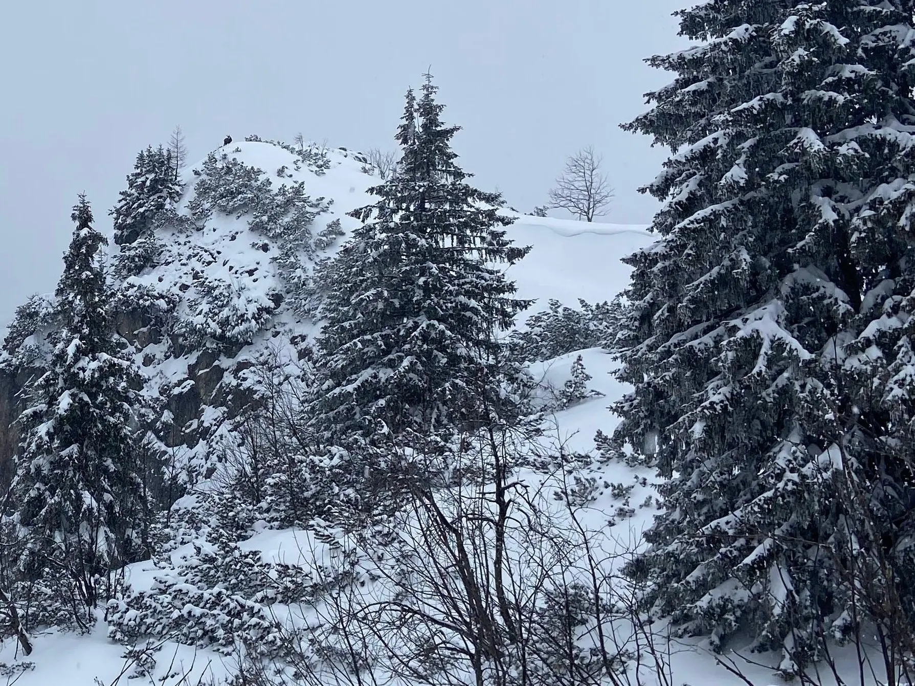 SSW Stahlhaus Vollmondtour | © DAV Gangkofen/Stefanie Hageneder_SSW Stahlhaus Vollmondtour_Wechte