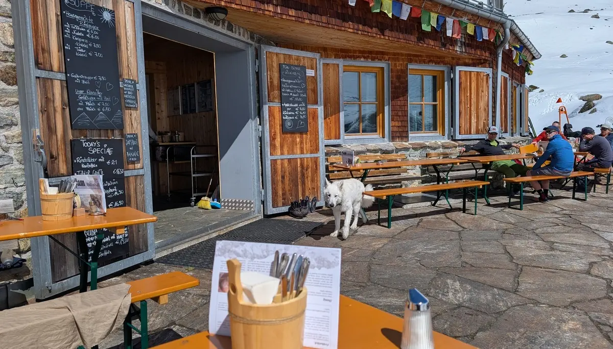 2. Tag_Rückkehr_Empfang durch Hüttenhund | © DAV Gangkofen/Martin Götz_SSW Jamtalhütte_2. Tag_Rückkehr_Empfang durch Hüttenhund