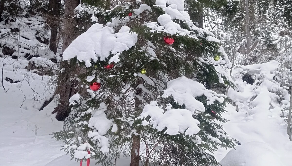 © (DAV Gangkofen) auf dem Weg...