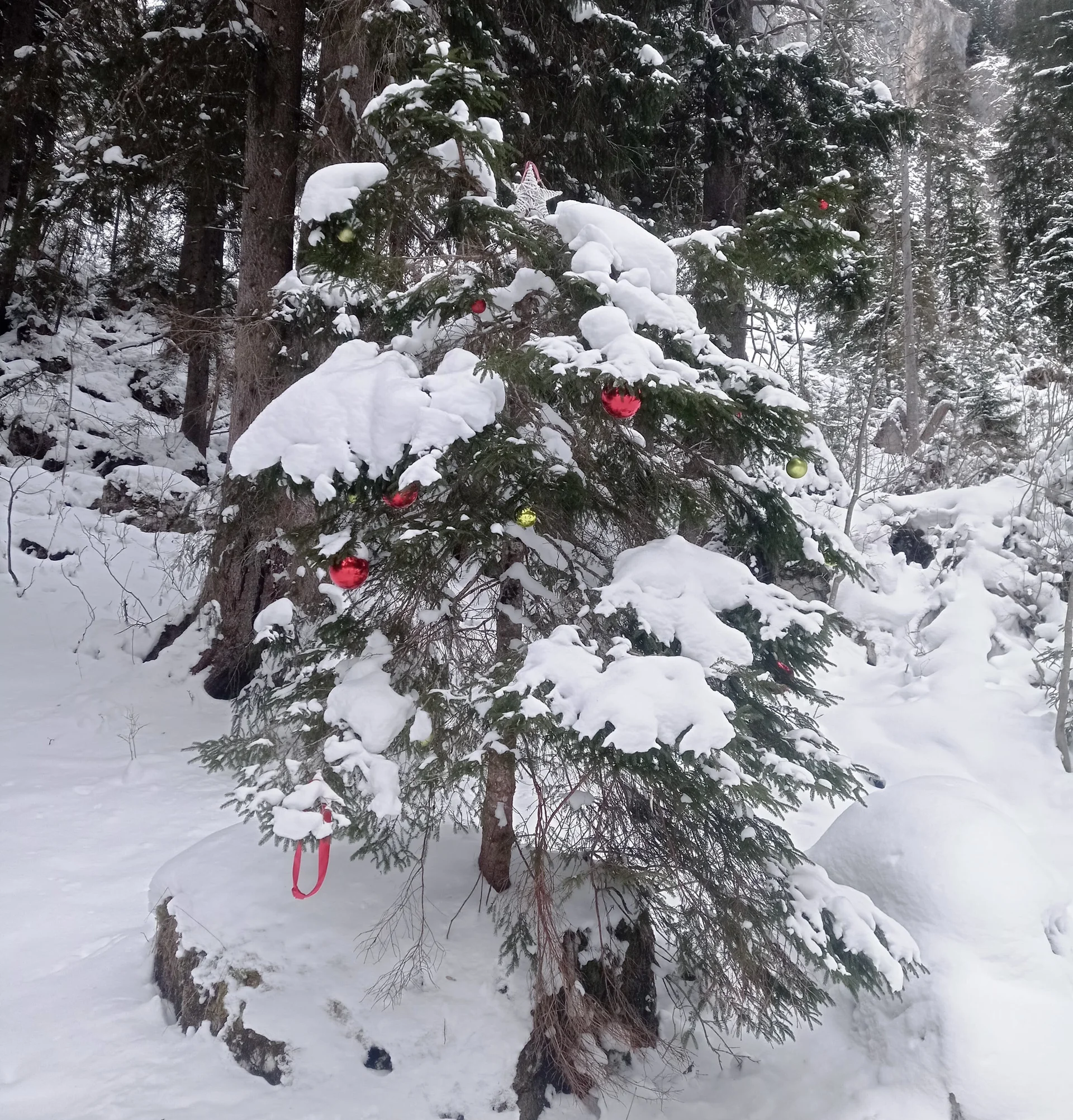 © (DAV Gangkofen) auf dem Weg...