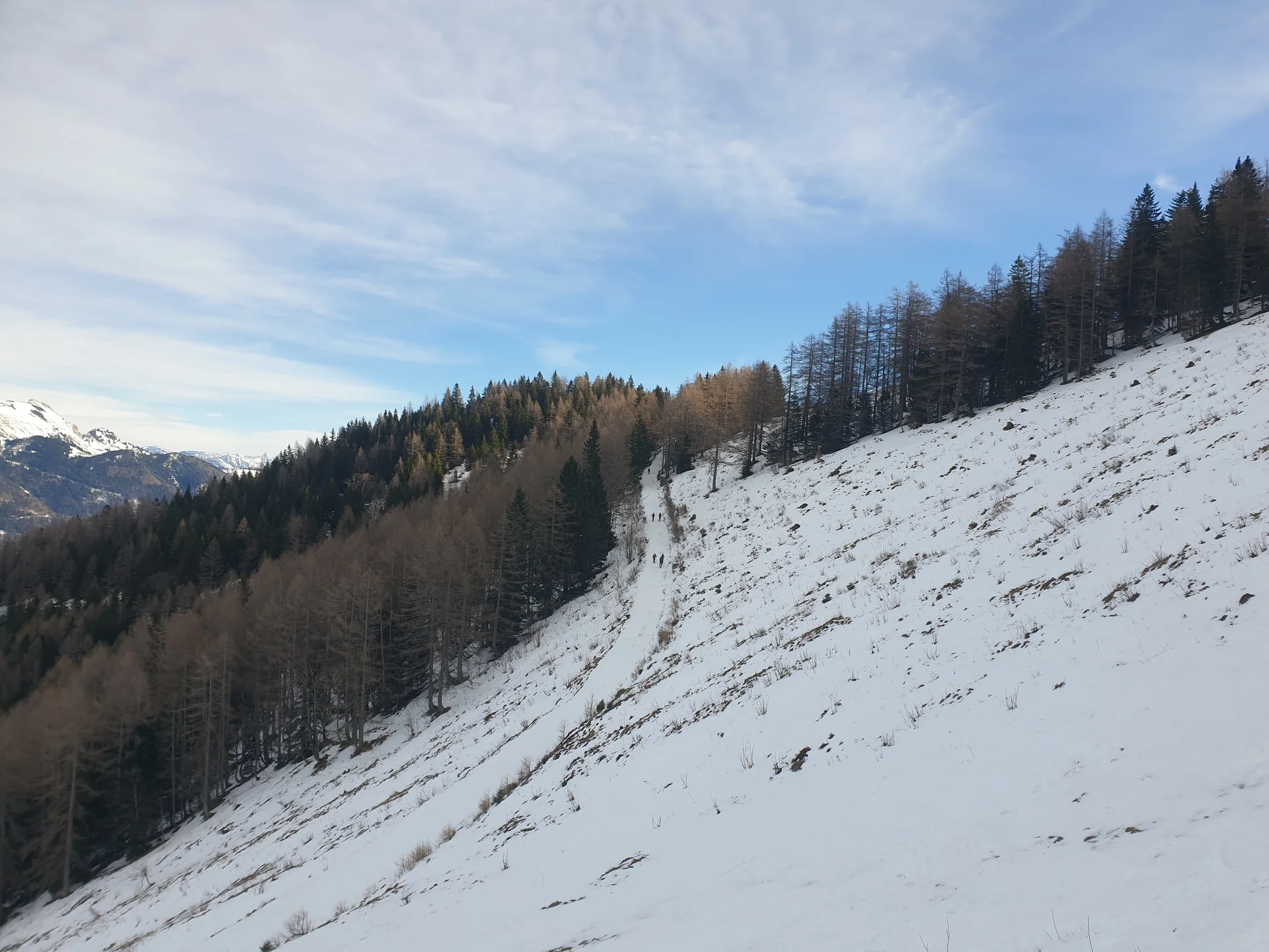 © (DAV Gangkofen) Auf der Forststrasse Richtung Gipfel