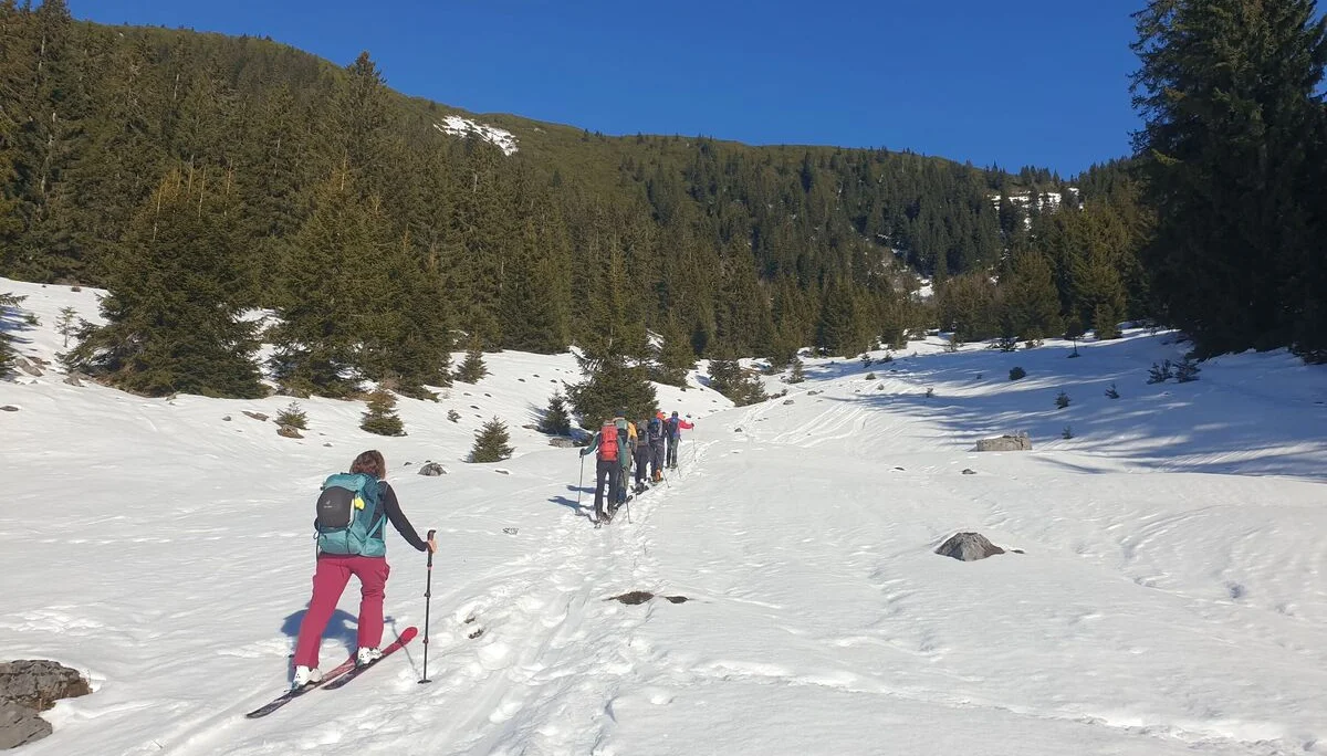 © (DAV Gangkofen) von der Alm Richtung Gimplingsattel