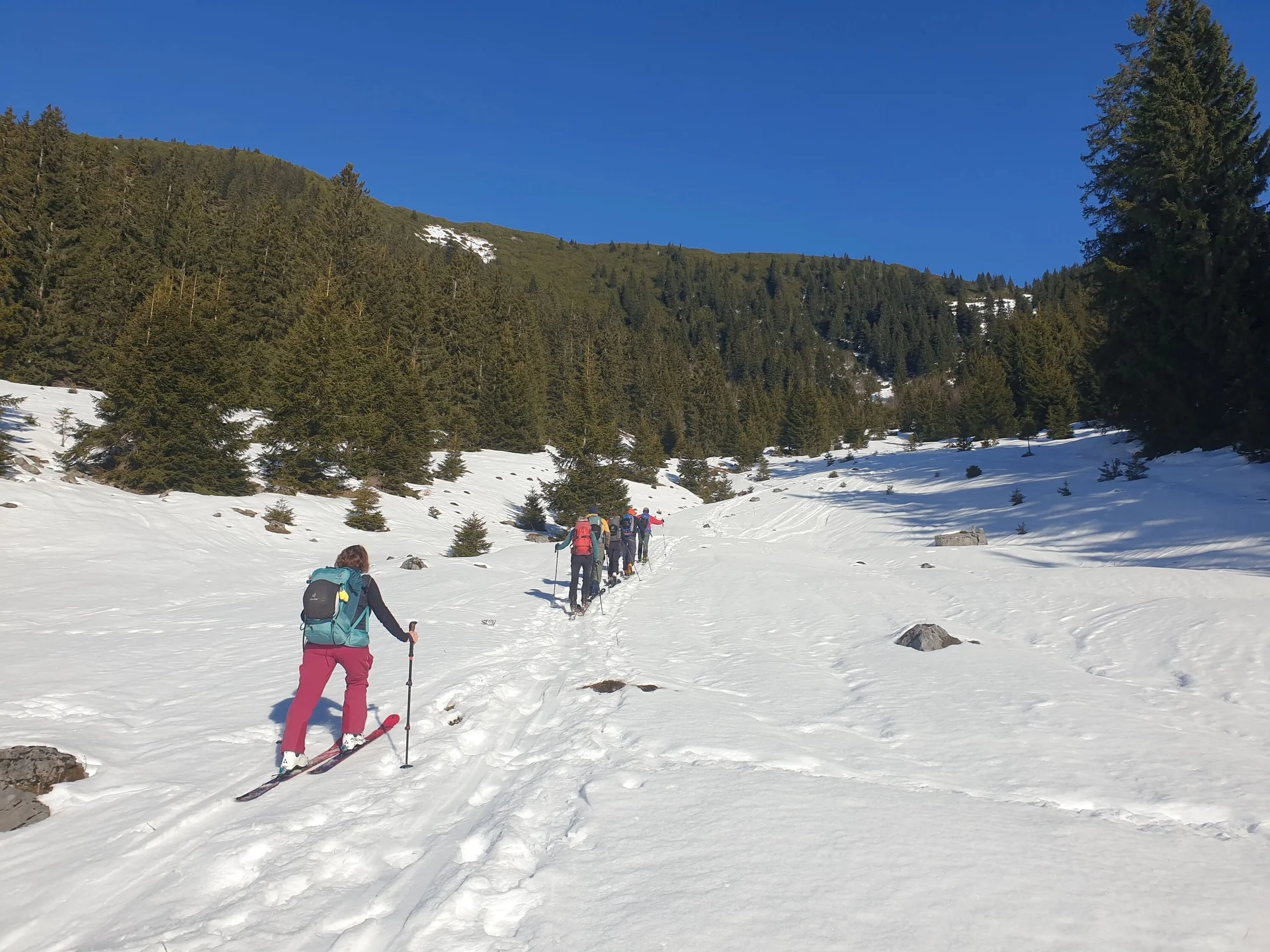 © (DAV Gangkofen) von der Alm Richtung Gimplingsattel
