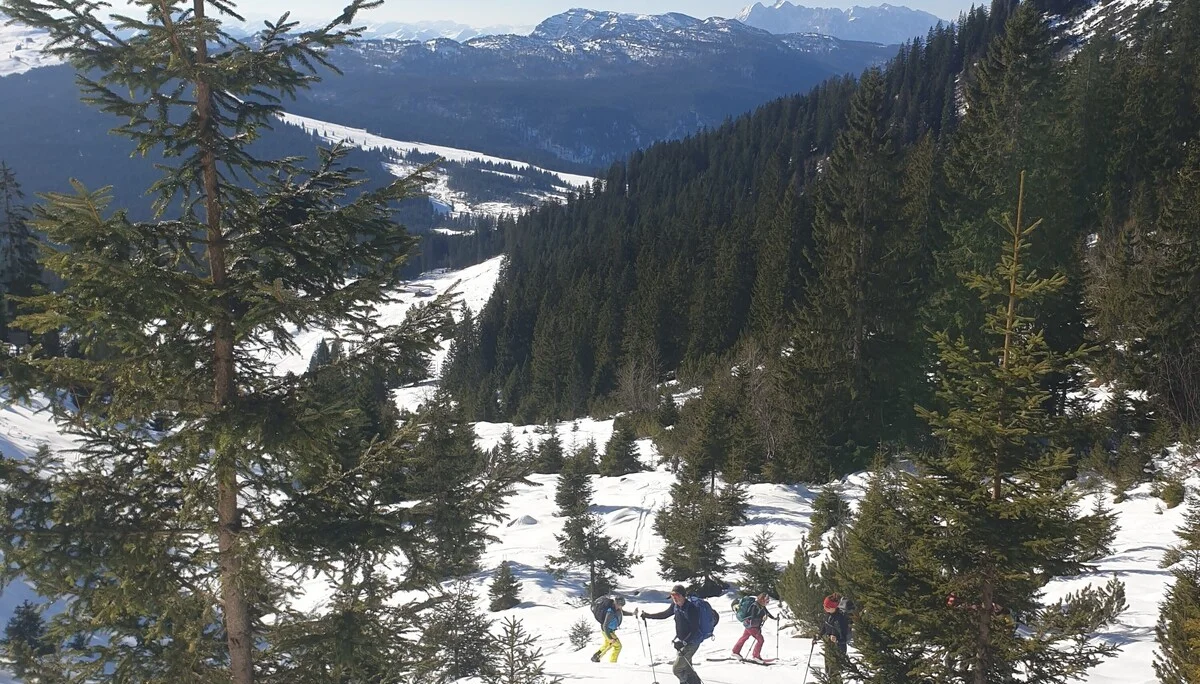 © (DAV Gangkofen) hinten rechts Wilder Kaiser