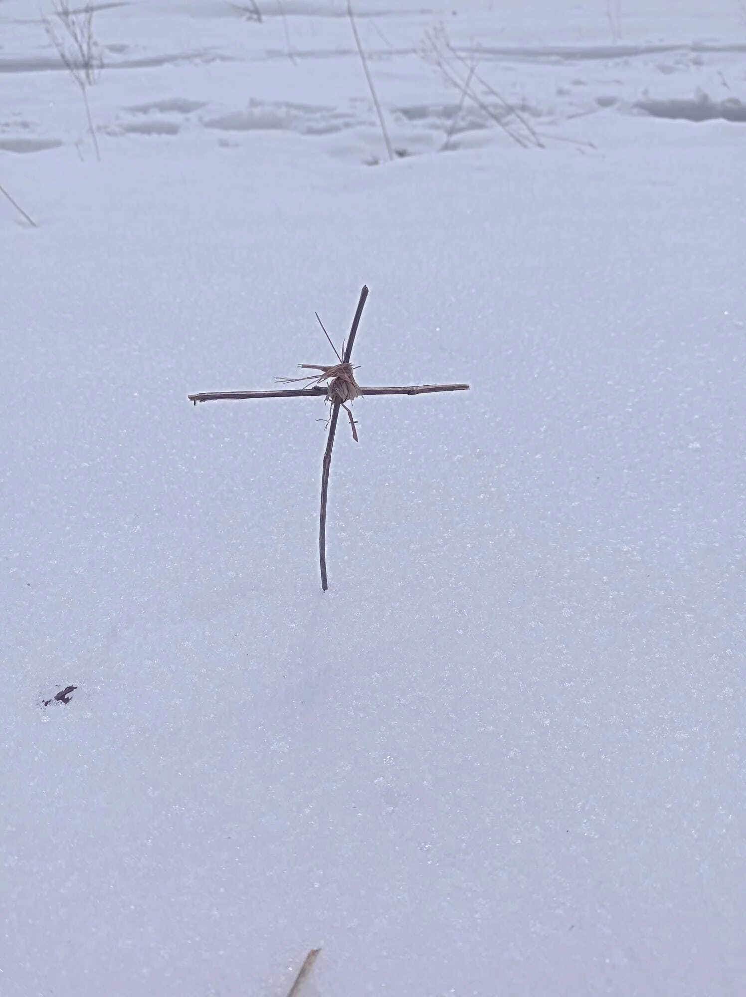 © (DAV Gangkofen) das Kreuz für eine Maus ;-)