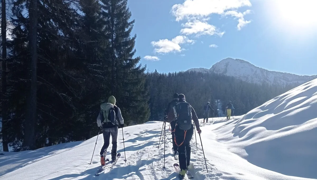 © (DAV Gangkofen) Auf der Forststraße, links wäre das Seehorn, rechts geht´s zum Kühkranz