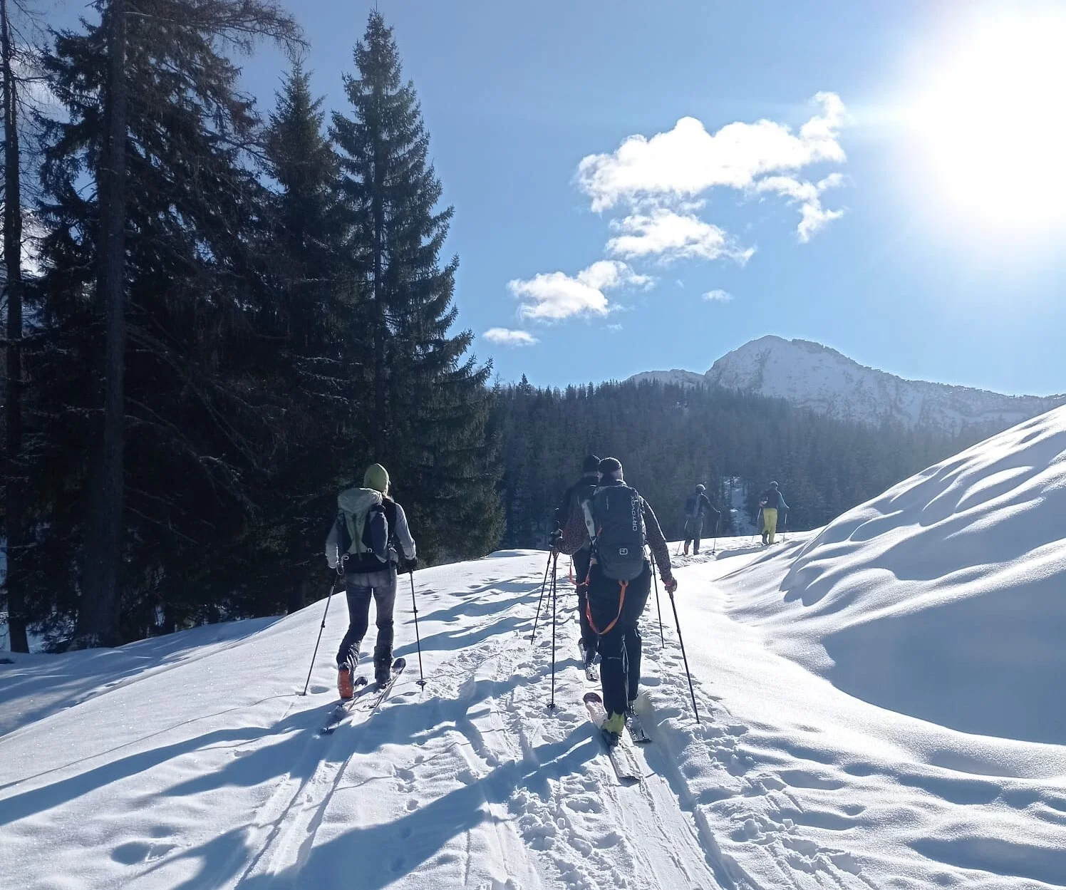 © (DAV Gangkofen) Auf der Forststraße, links wäre das Seehorn, rechts geht´s zum Kühkranz