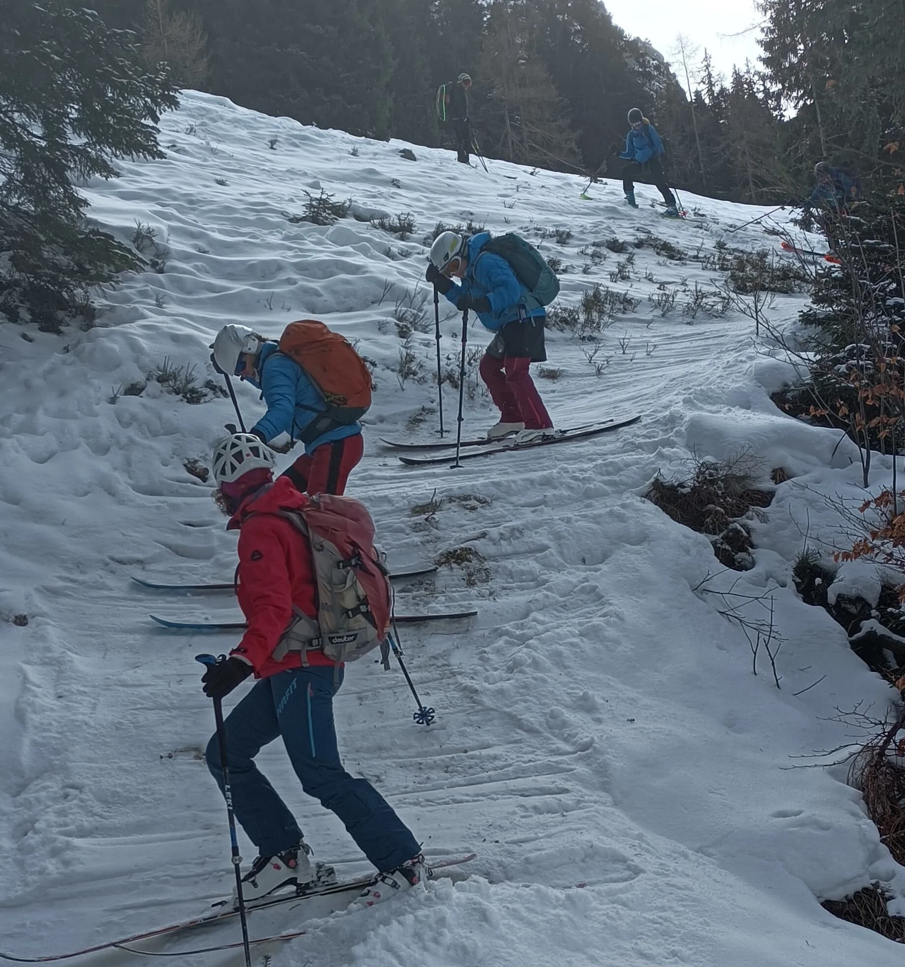 © (DAV Gangkofen) "Abfahrt" vom Peitingköpfl
