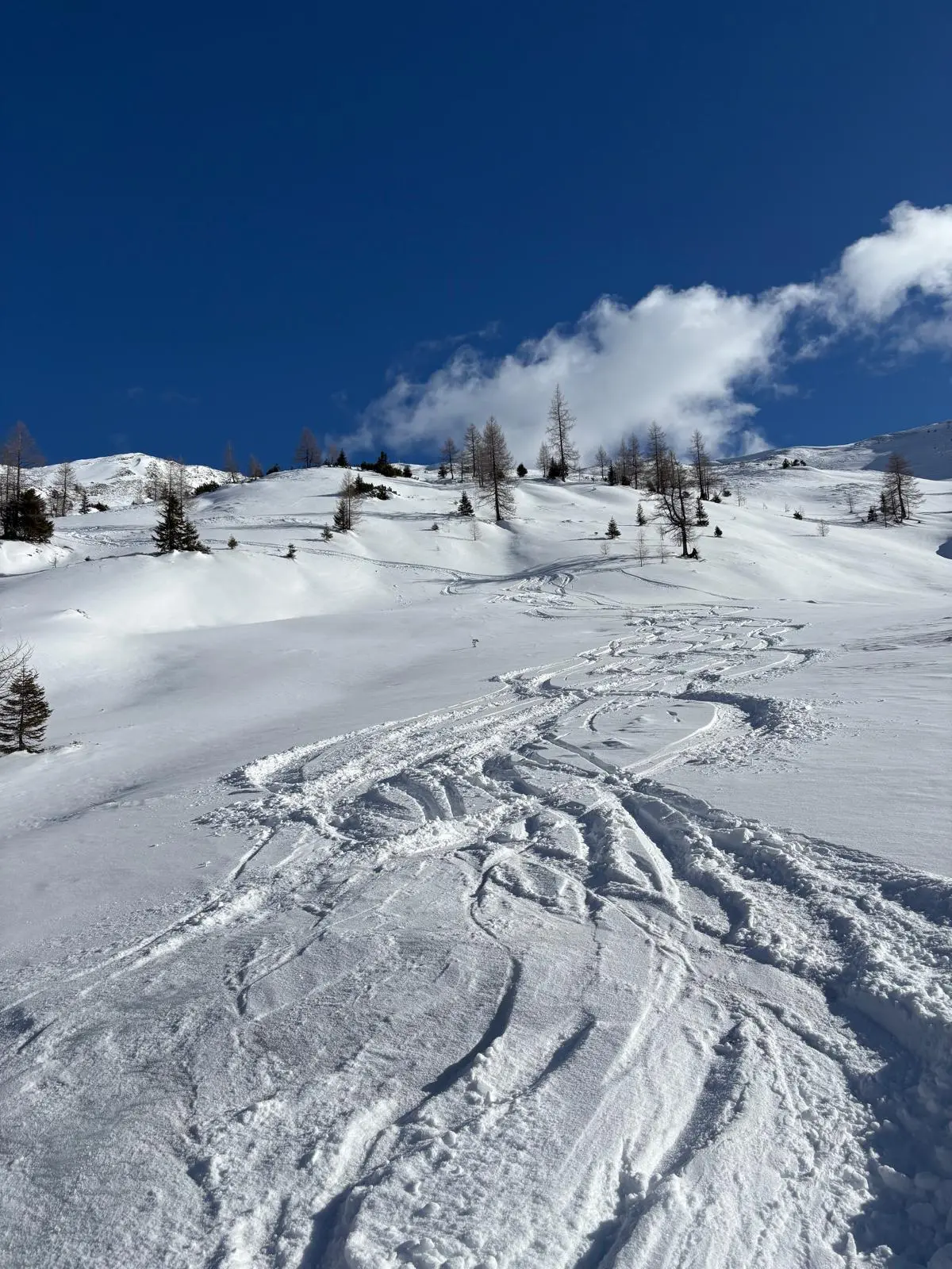© DAV-Gangkofen - Abfahrt vom Kreuzeck