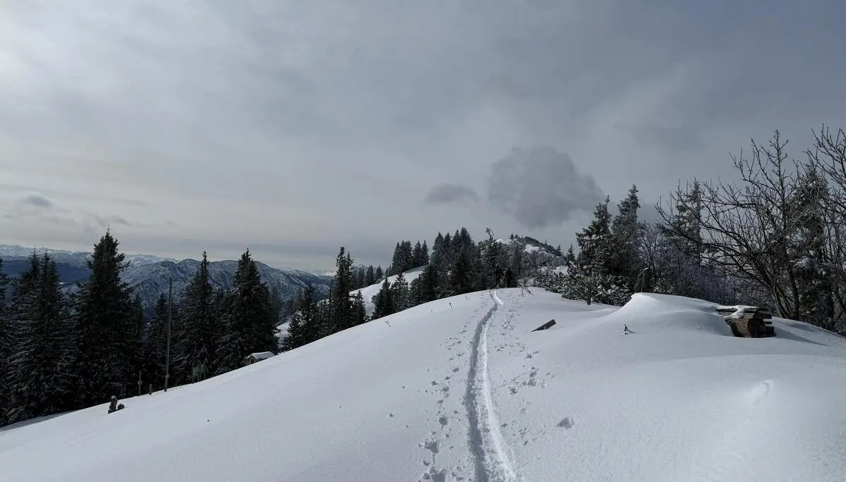 © DAV-Gangkofen (Rauschberg-Roßgasse)