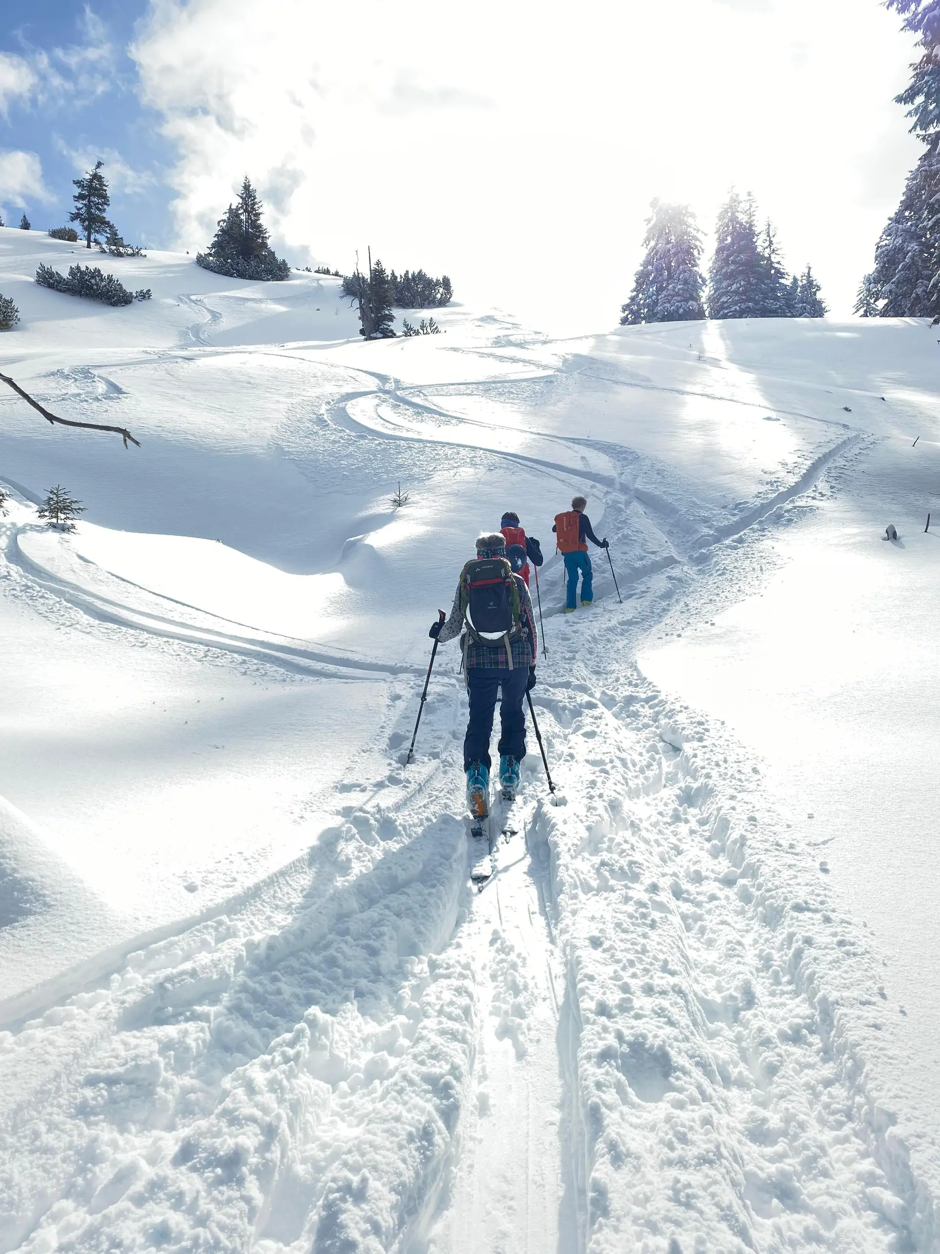 © DAV-Gangkofen (Streicher)