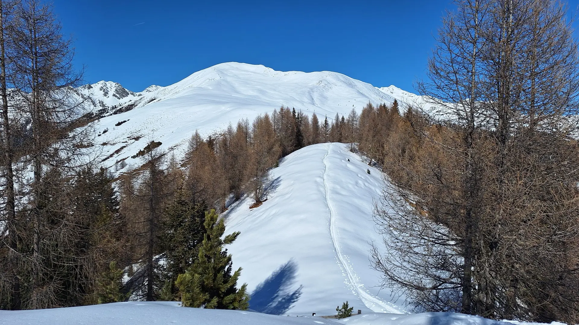 © (DAV Gangkofen_Gsieser Tal)