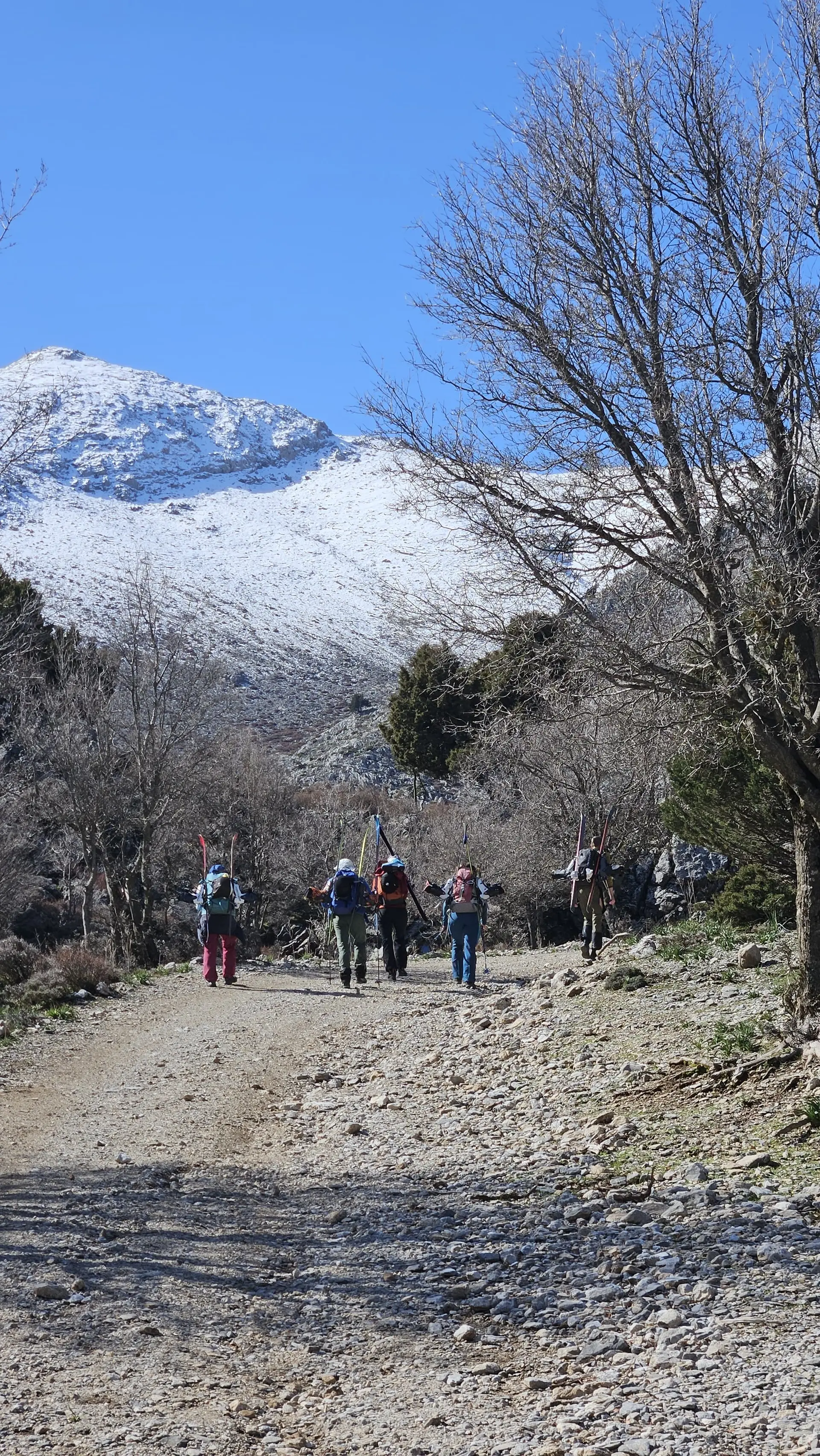 © (Dav-Gangkofen) - 