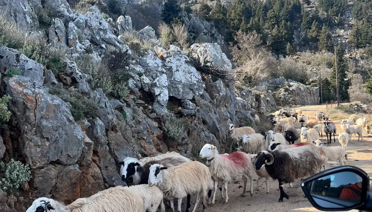 © (Dav-Gangkofen) - 