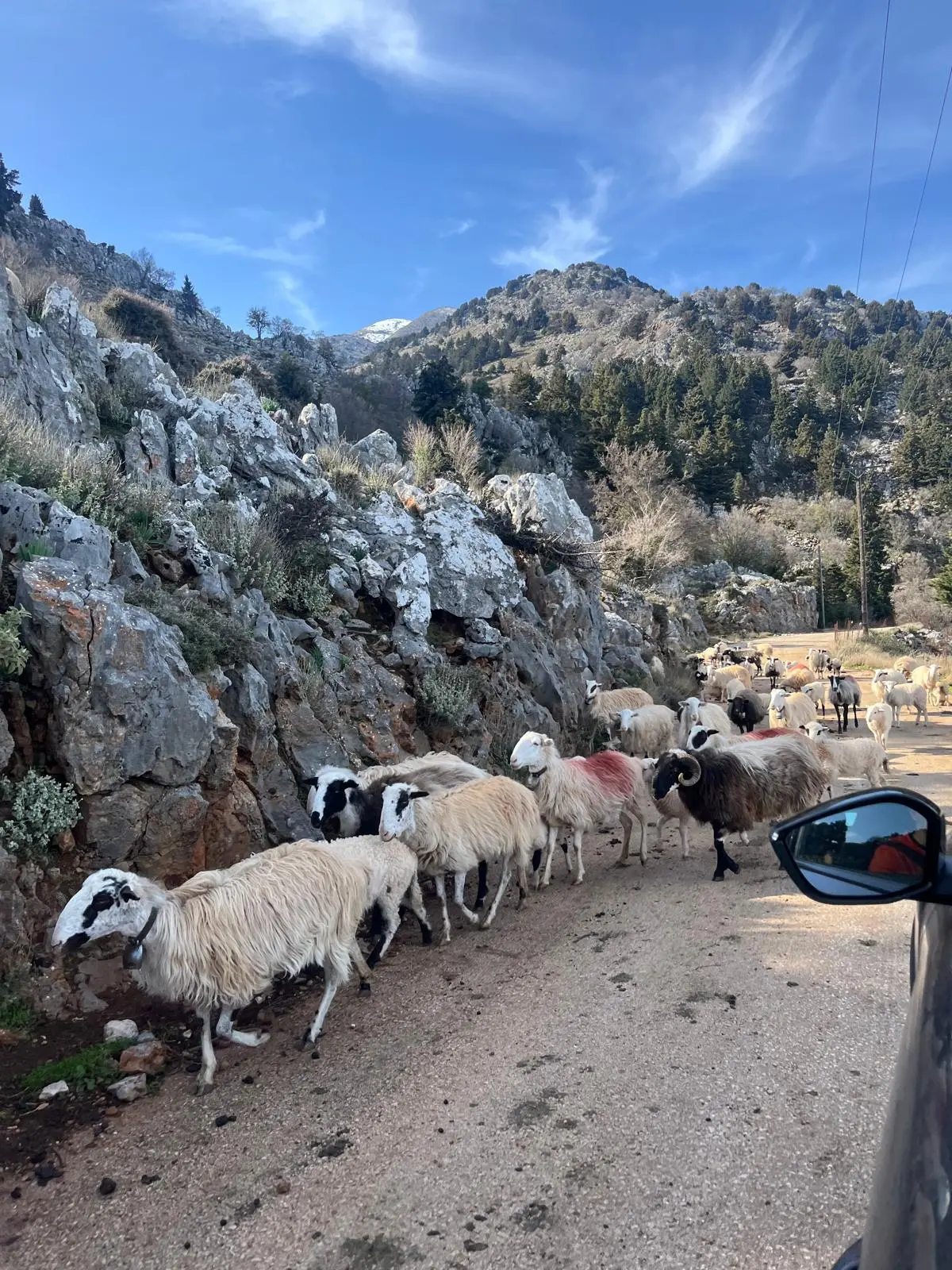 © (Dav-Gangkofen) - 