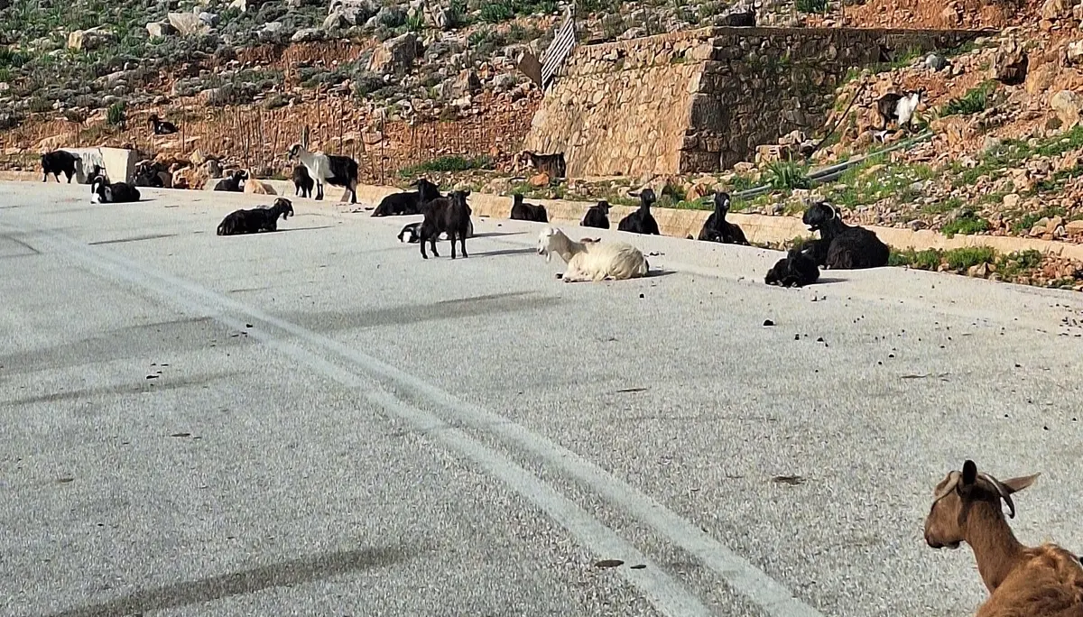 © (Dav-Gangkofen) - 