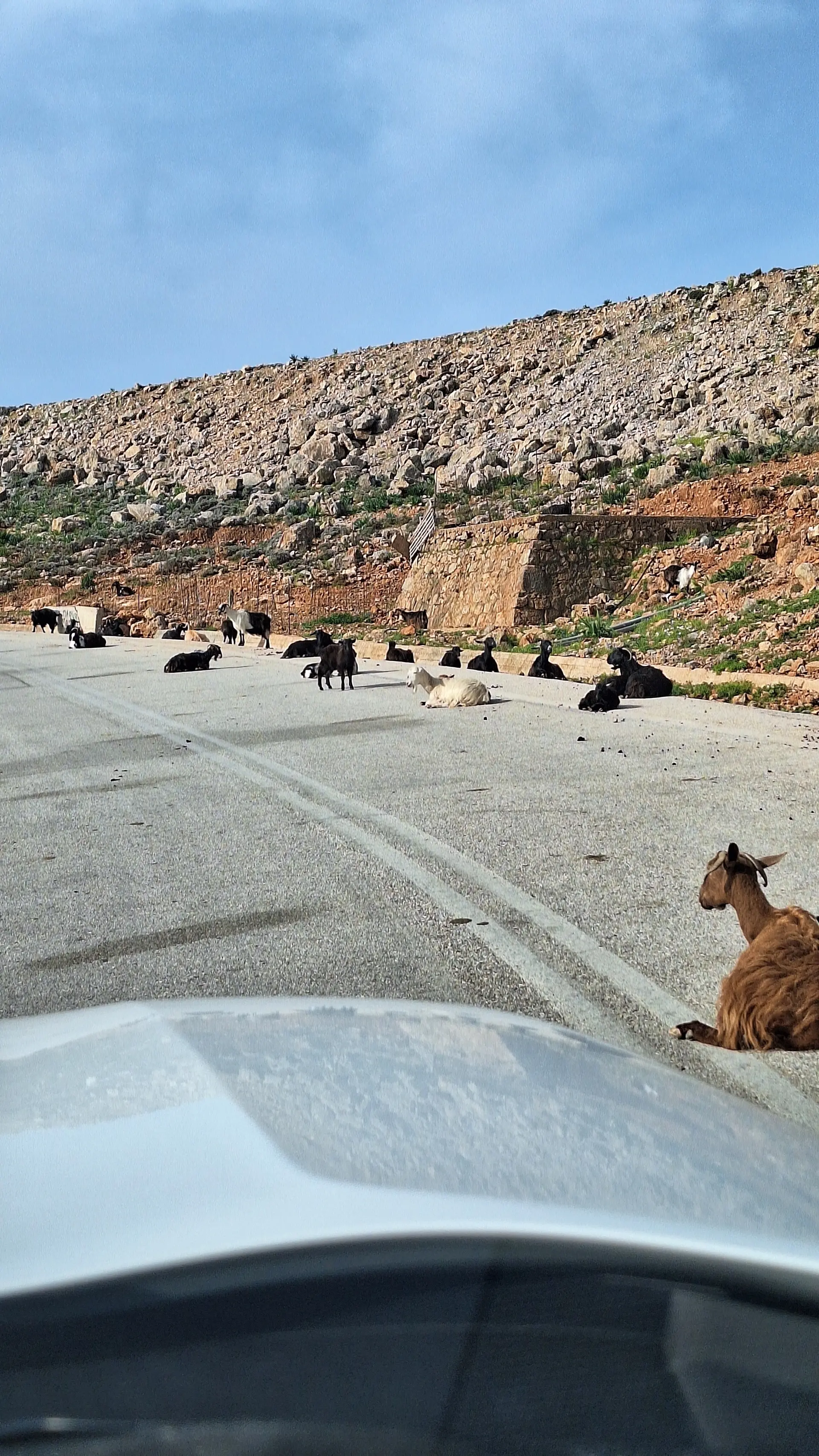 © (Dav-Gangkofen) - 