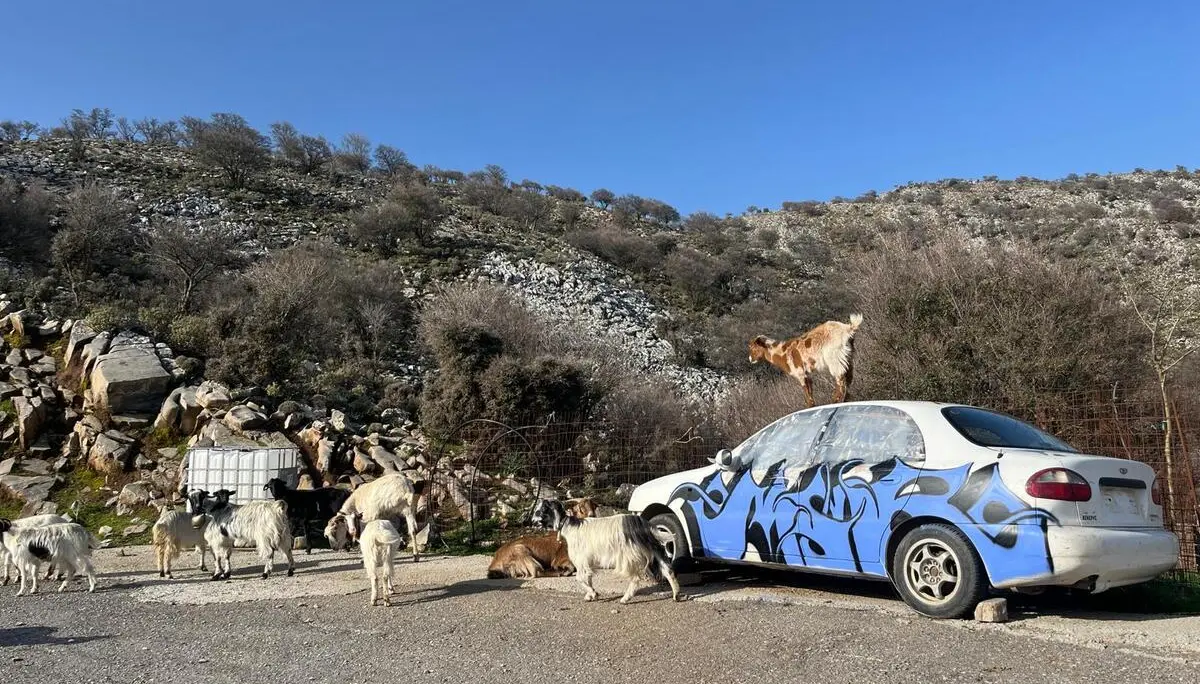 © (Dav-Gangkofen) - 