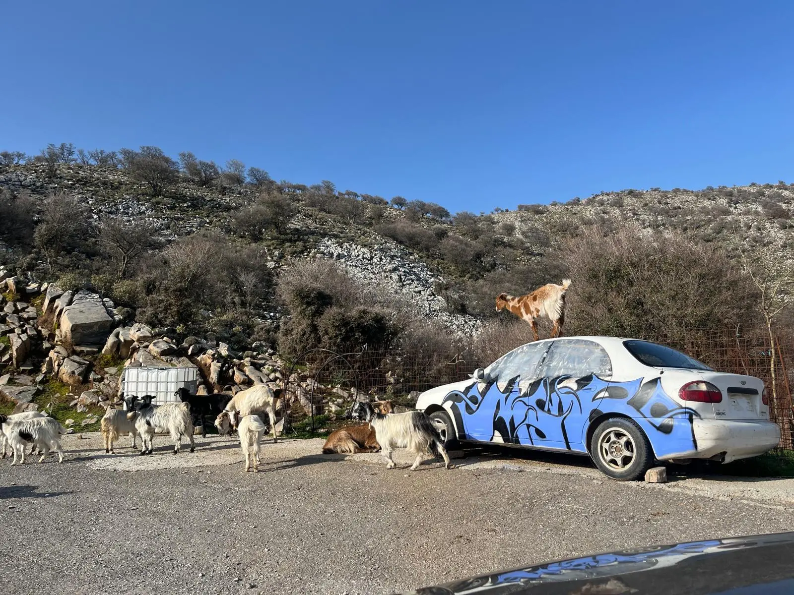 © (Dav-Gangkofen) - 