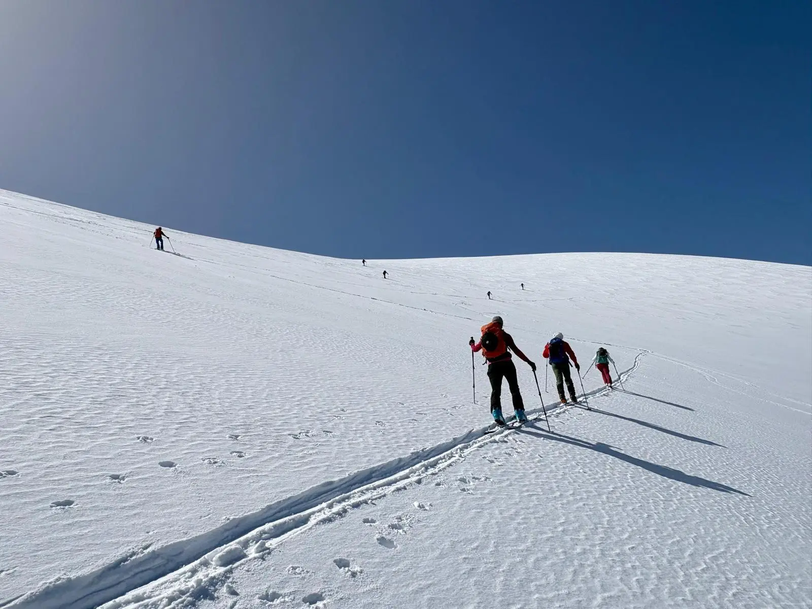 © (Dav-Gangkofen) - 