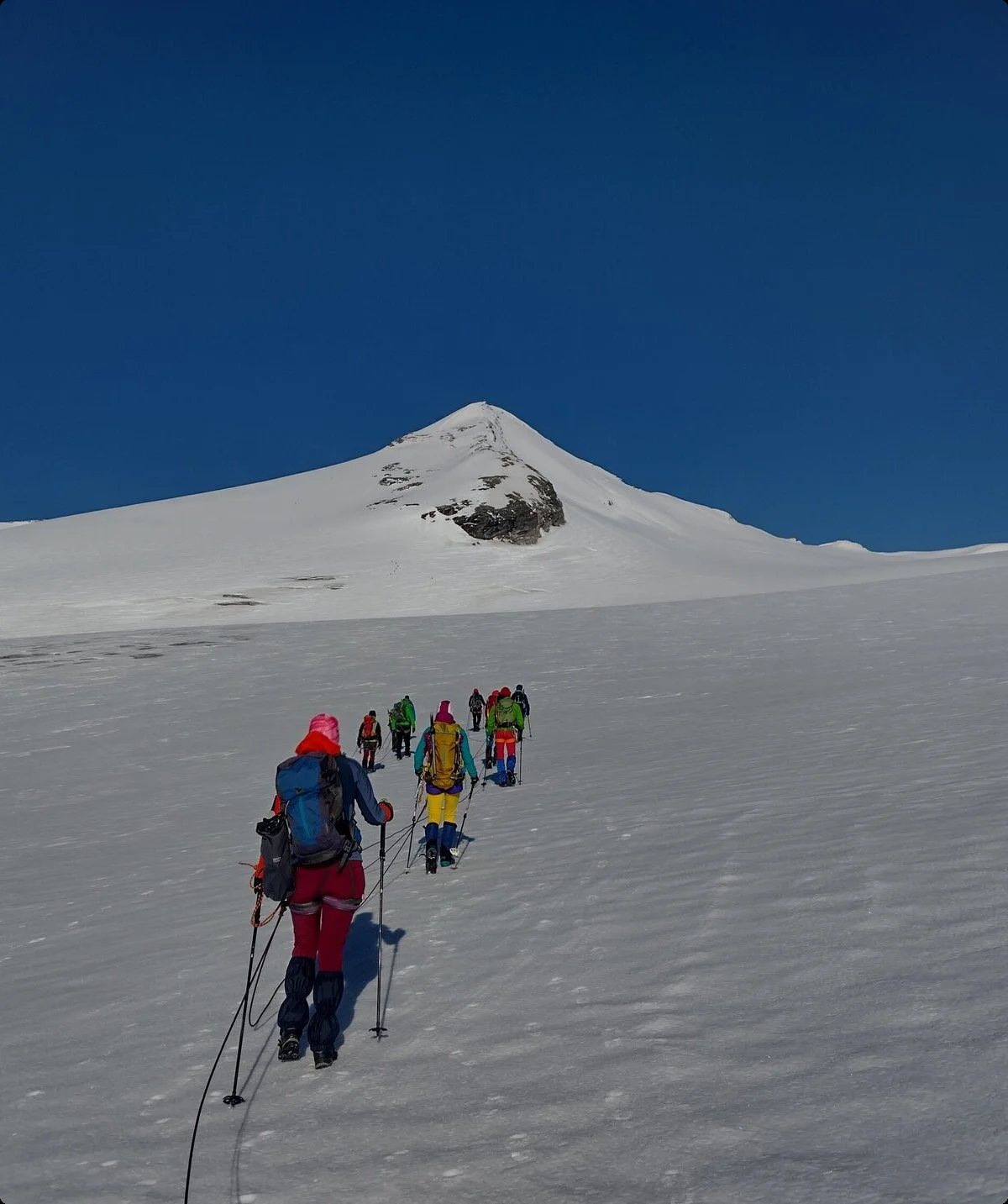 © Max Altmannshofer