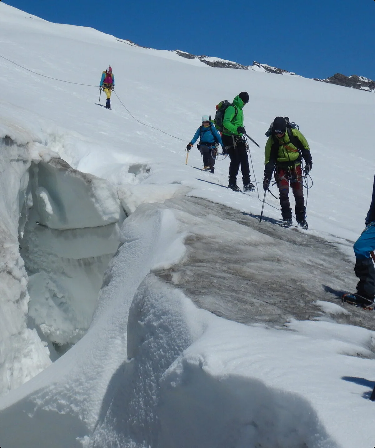 © Max Altmannshofer