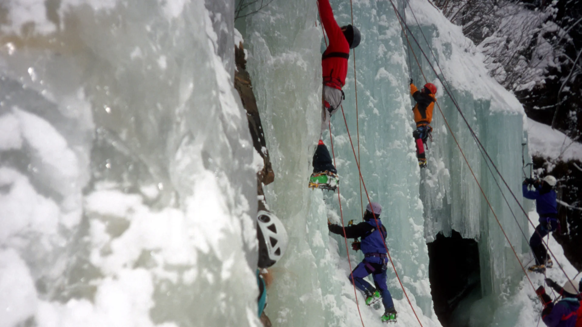 © Max Altmannshofer