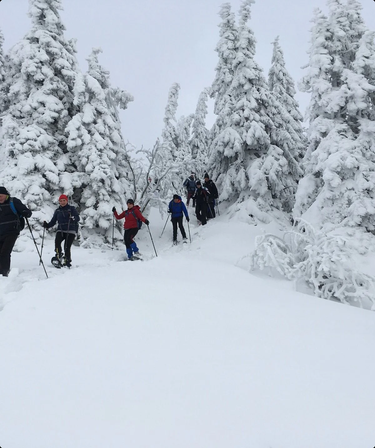 © DAV-Gangkofen Schneeschuhgehen-Arber