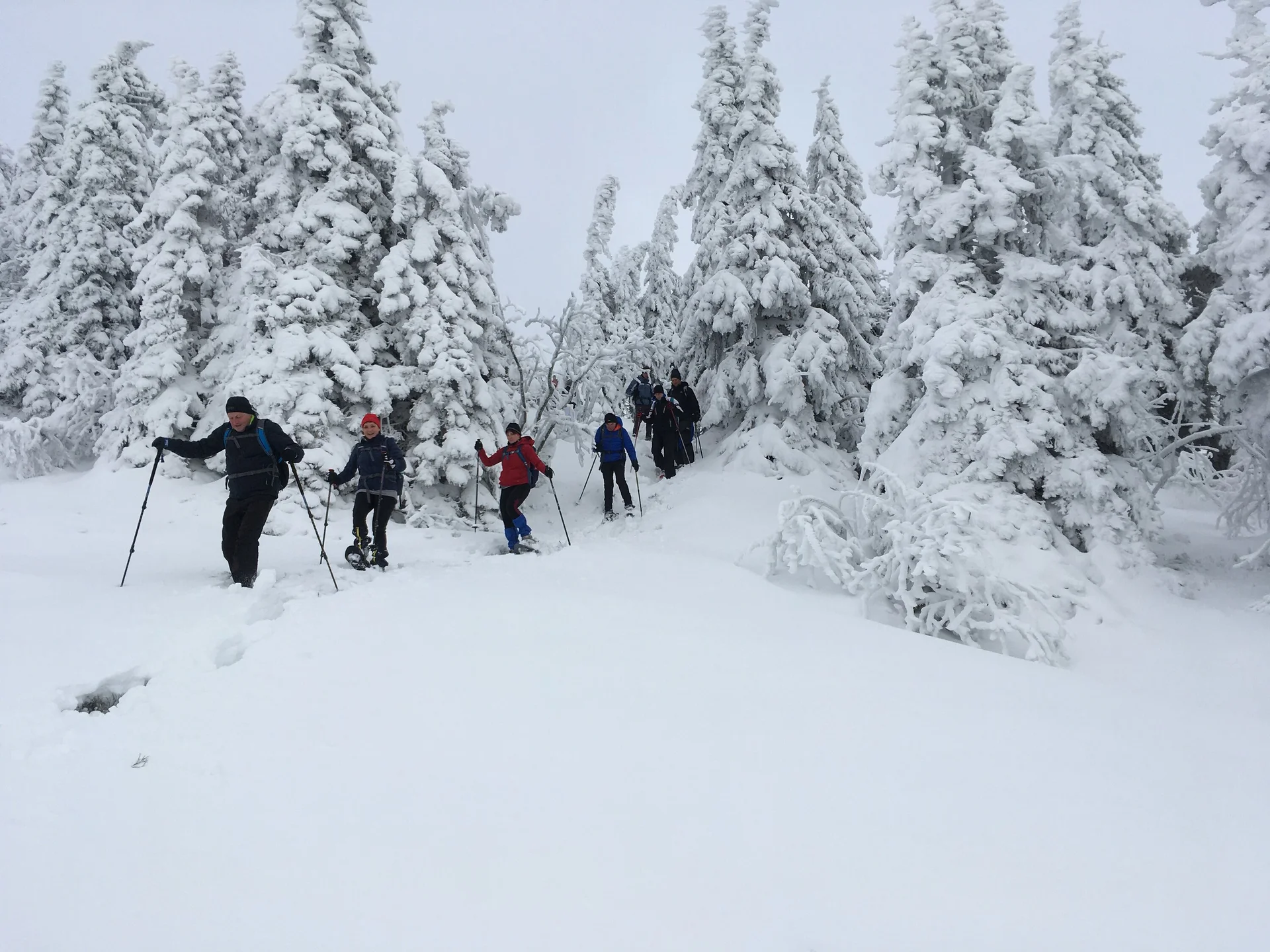 © DAV-Gangkofen Schneeschuhgehen-Arber