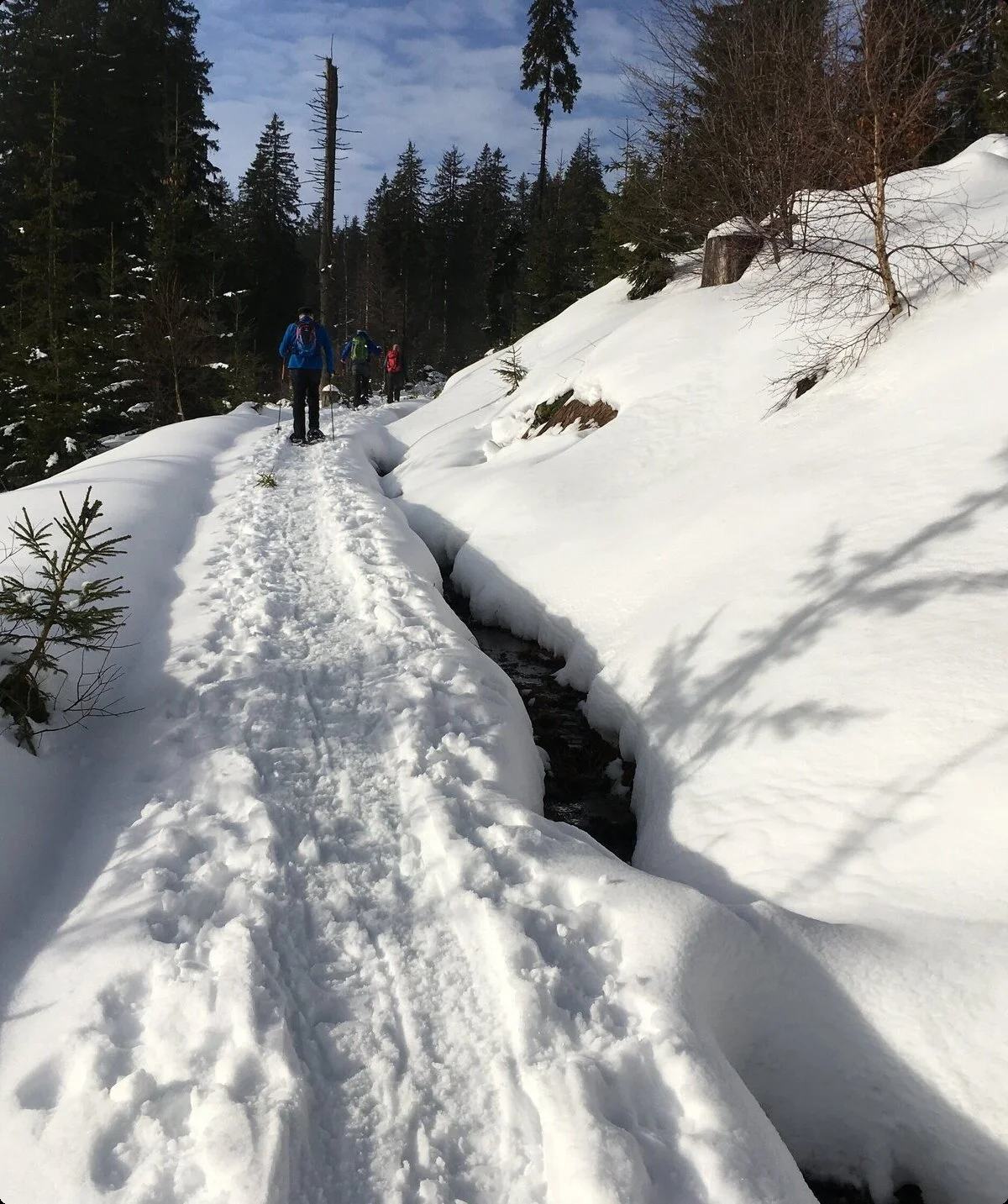 © DAV-Gangkofen Schneeschuhgehen-Arber