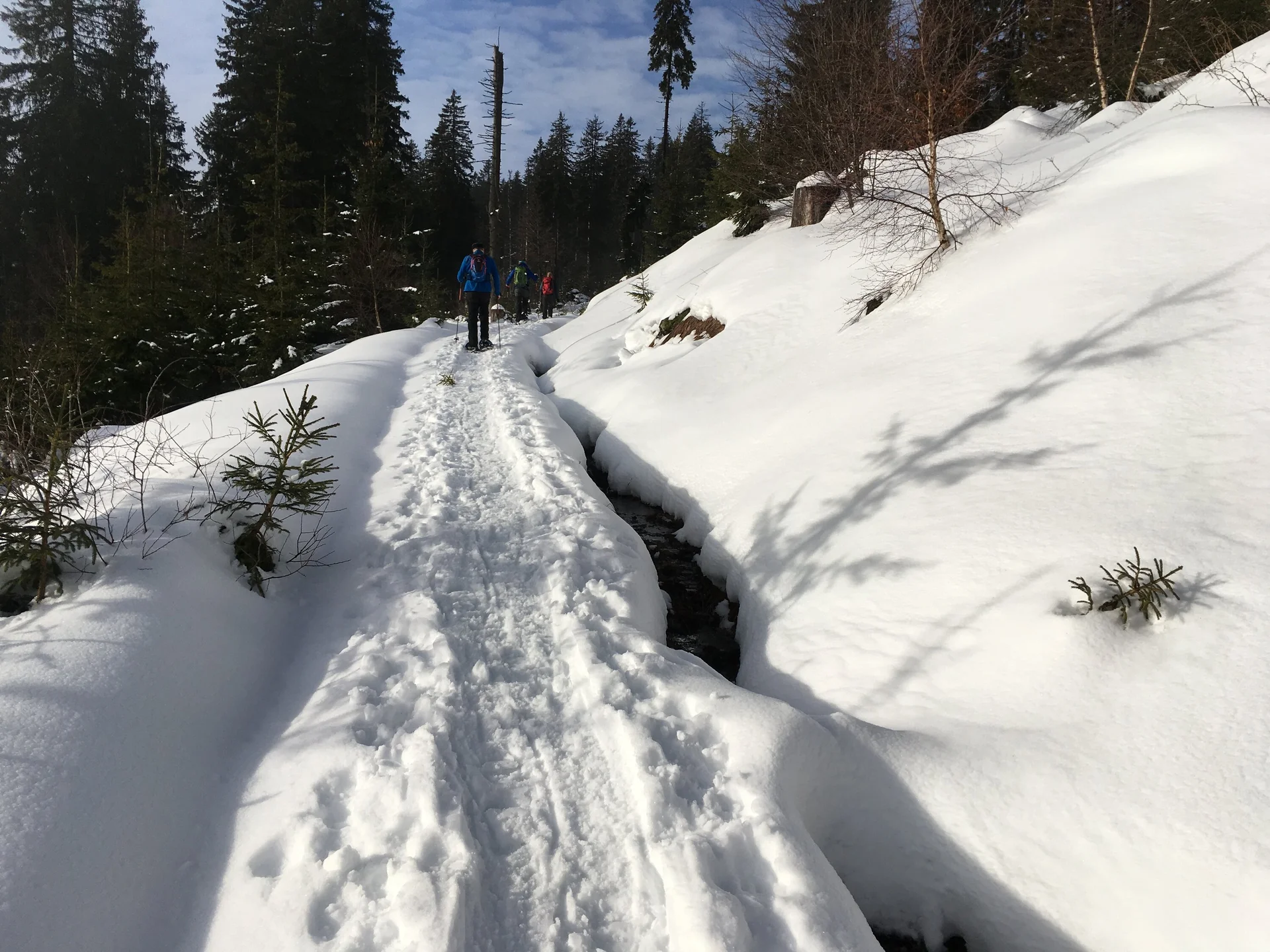 © DAV-Gangkofen Schneeschuhgehen-Arber