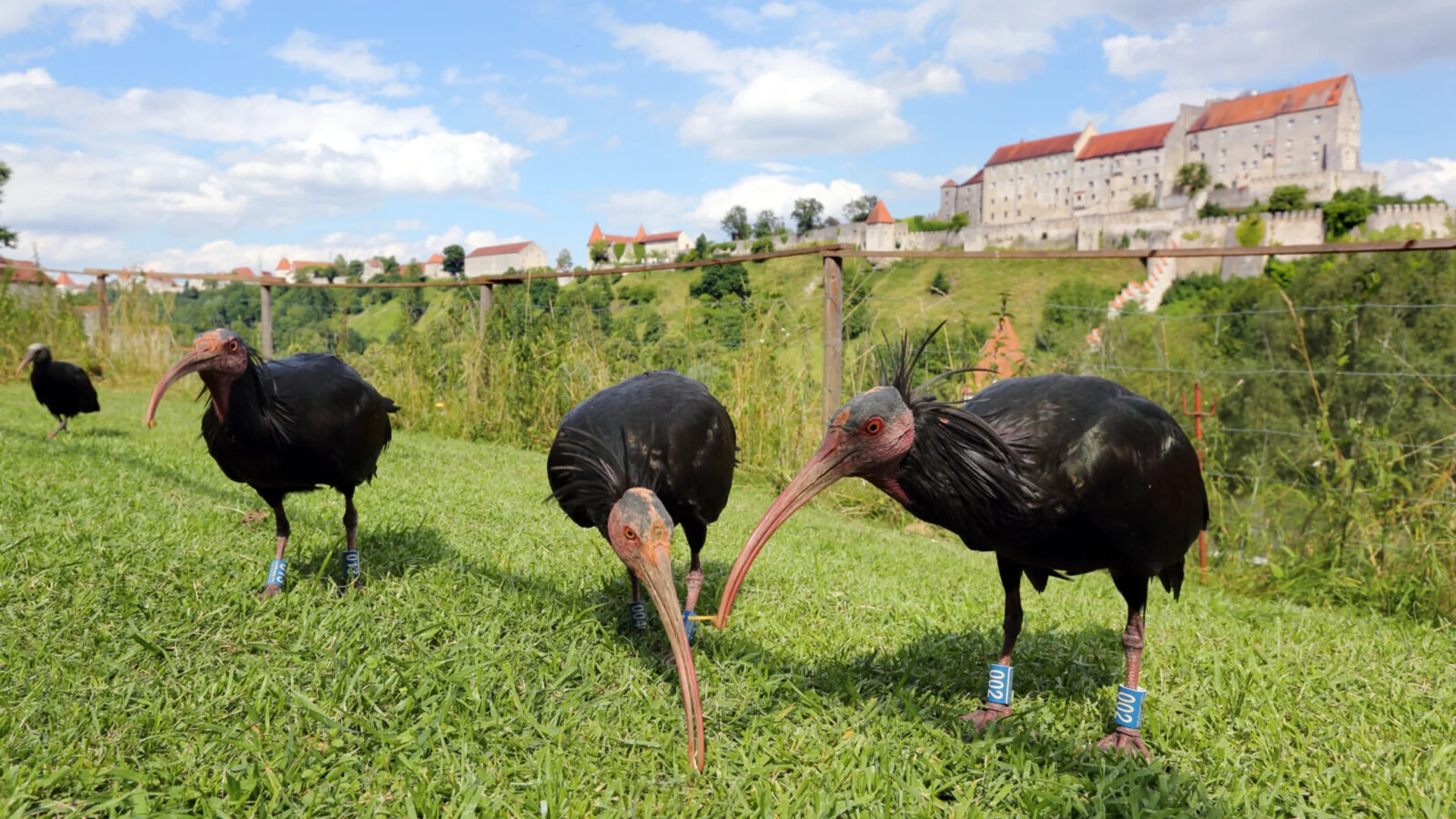 © Max Altmannshofer