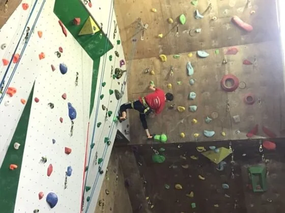 © Max Altmannshofer