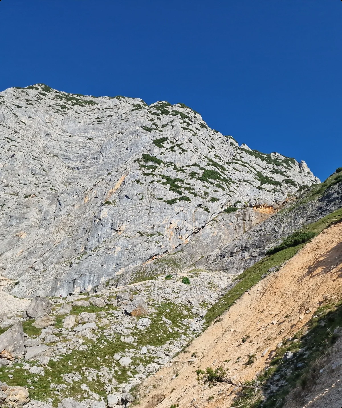 © DAV-Gangkofen\Martin Götz (Berchtesgadener Hochthron im Überblick)