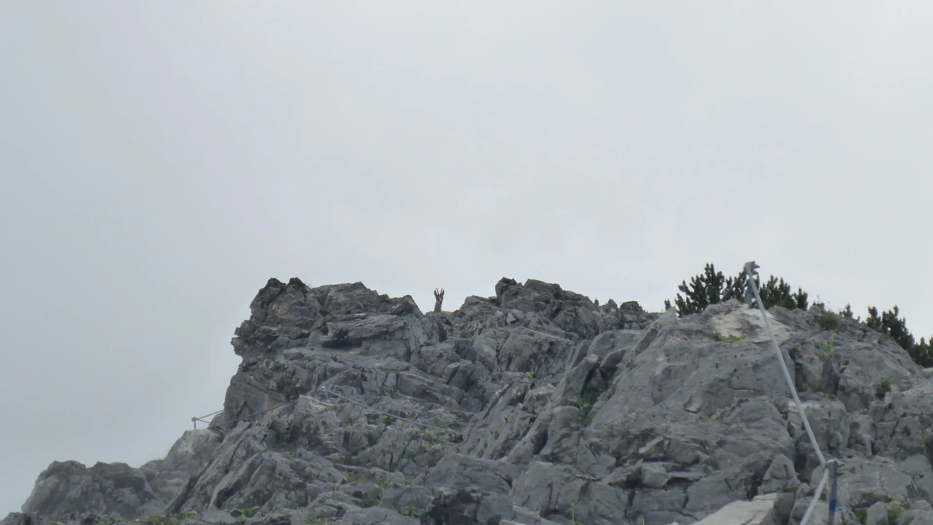 © DAV-Gangkofen\Martin Götz (Absamer Klettersteig_Im Steig)