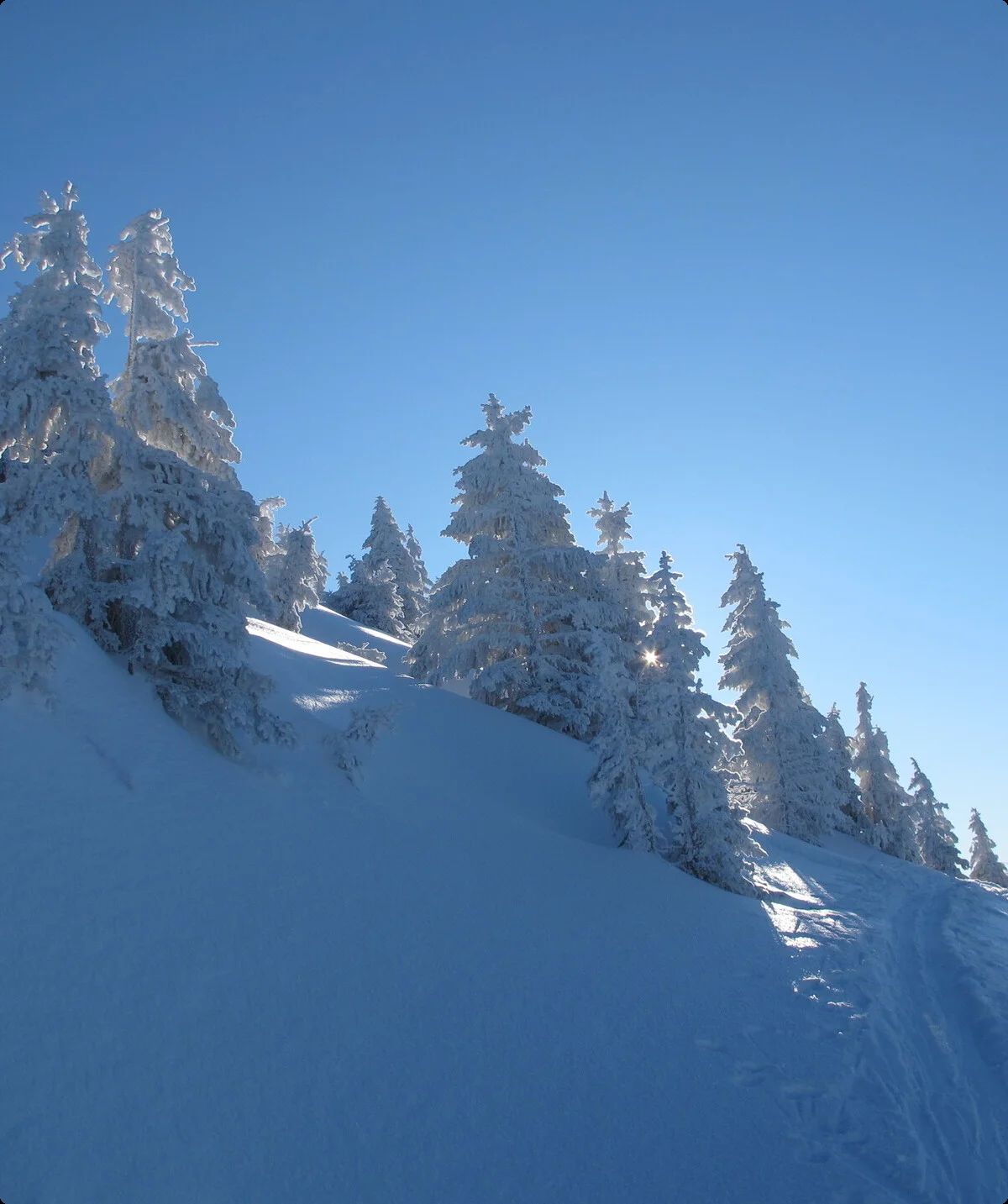 © DAV-Gangkofen - Spitzstein